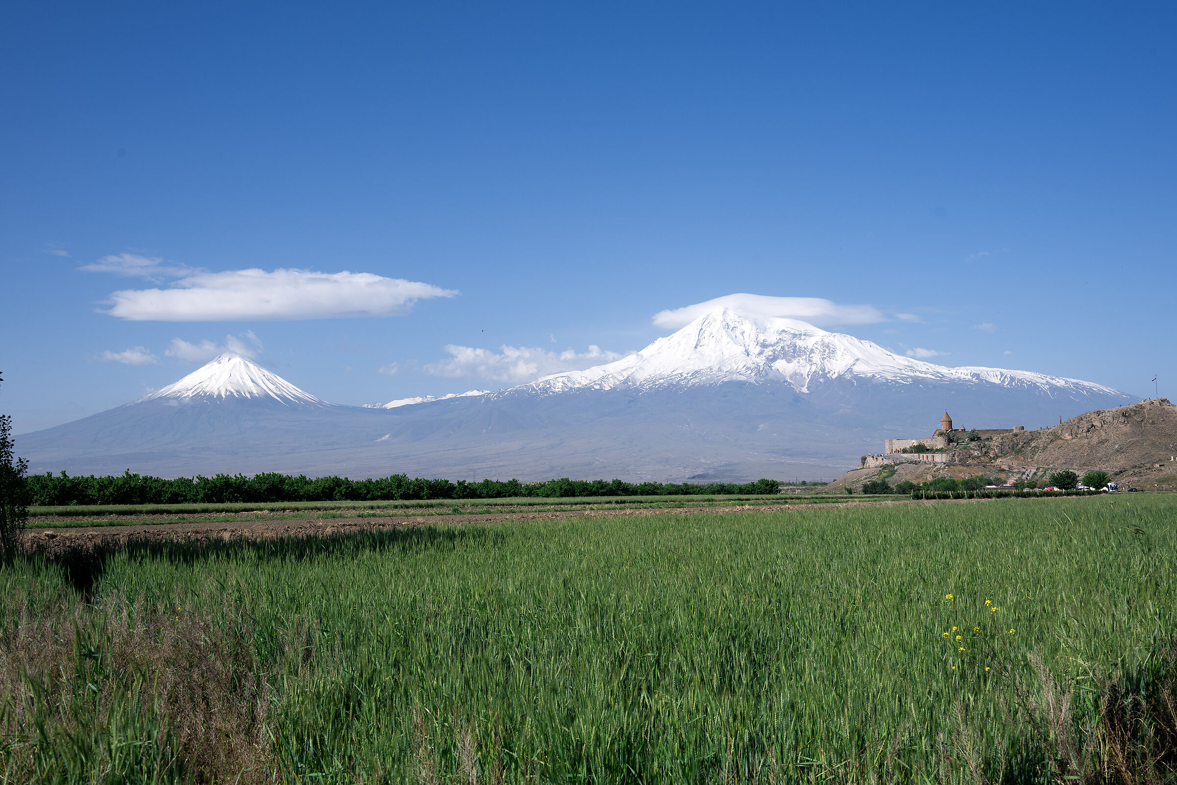 Armenia 2024 - L'ararat