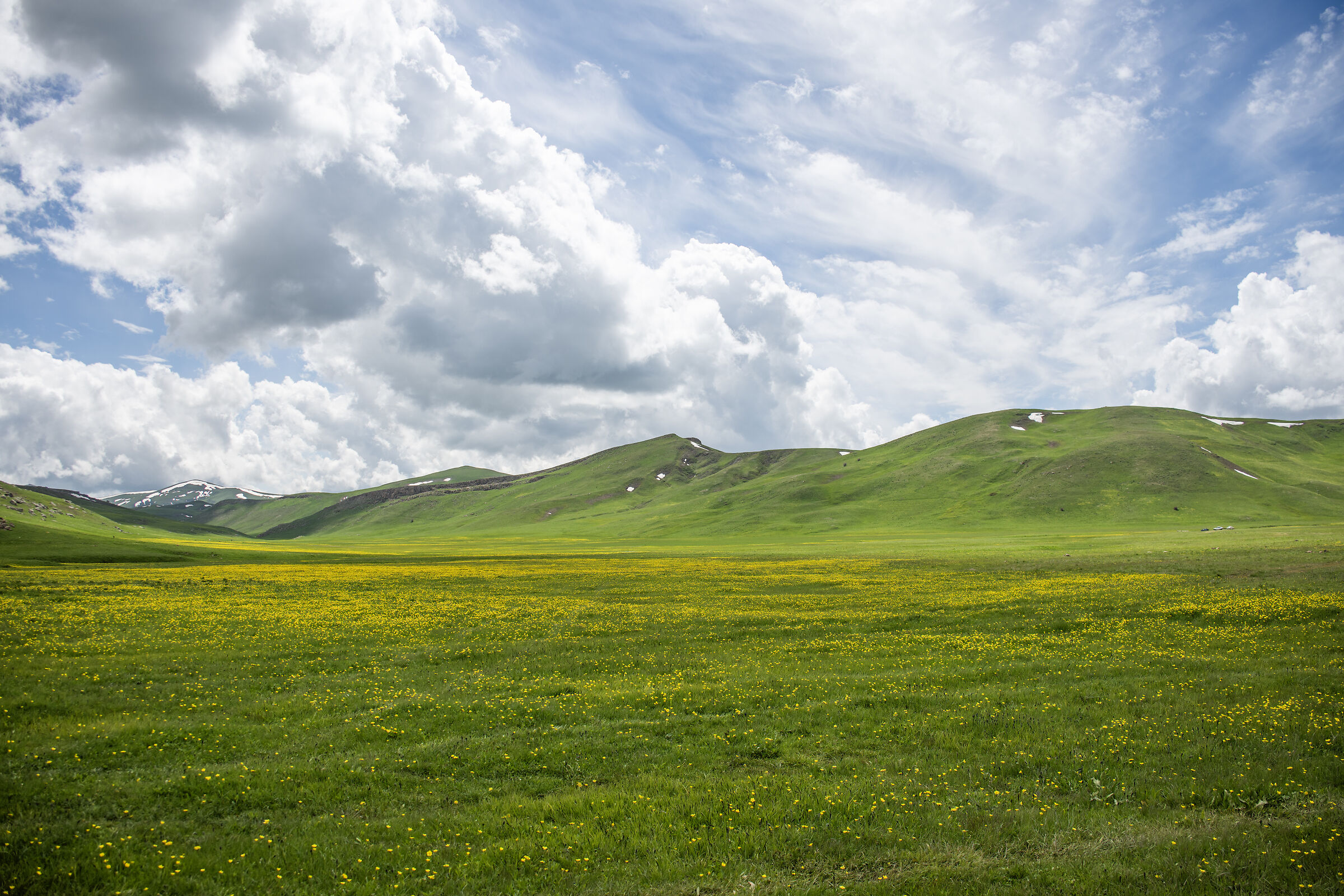Armenia 2024 - Prato
