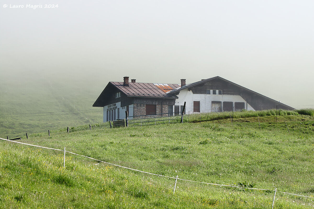 Vallorh Cheese Factory