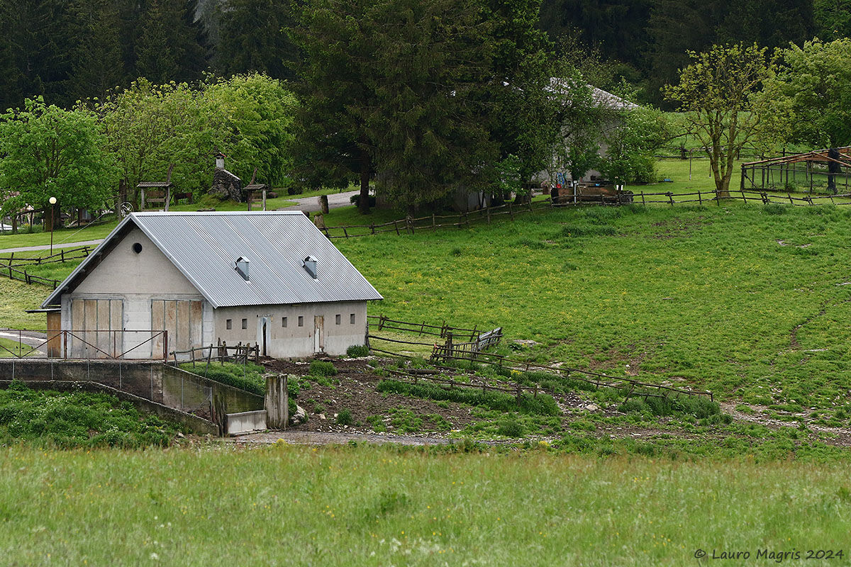 Annexed at the Queues