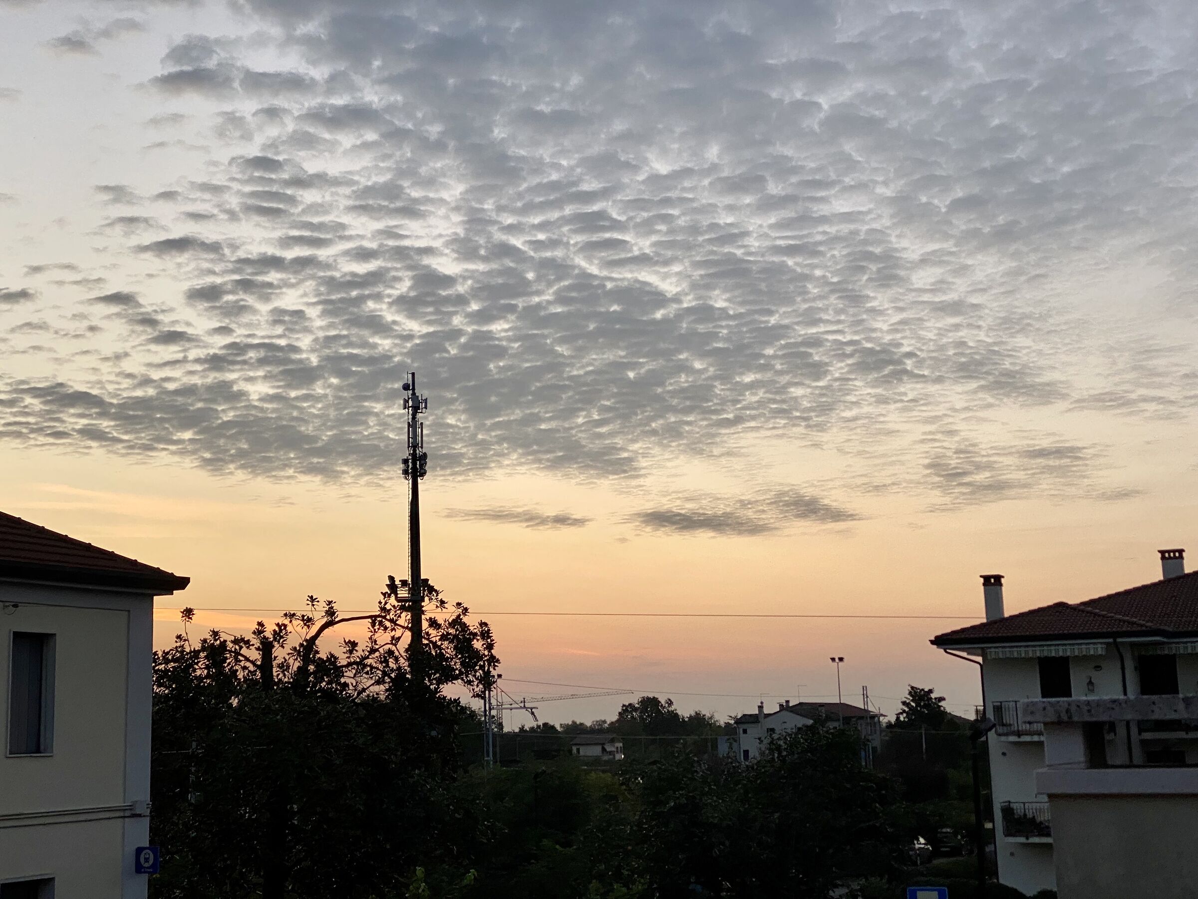 Untitled Photo
