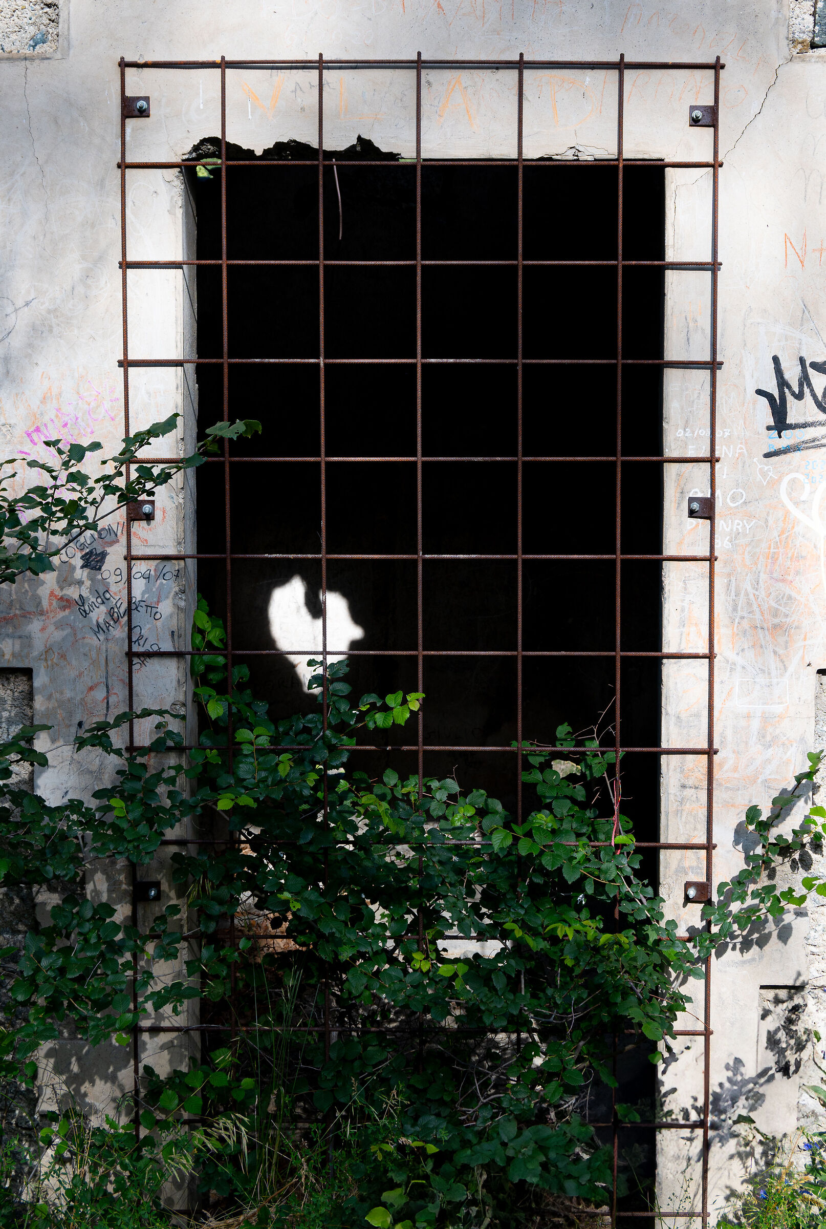 Don't be afraid of love