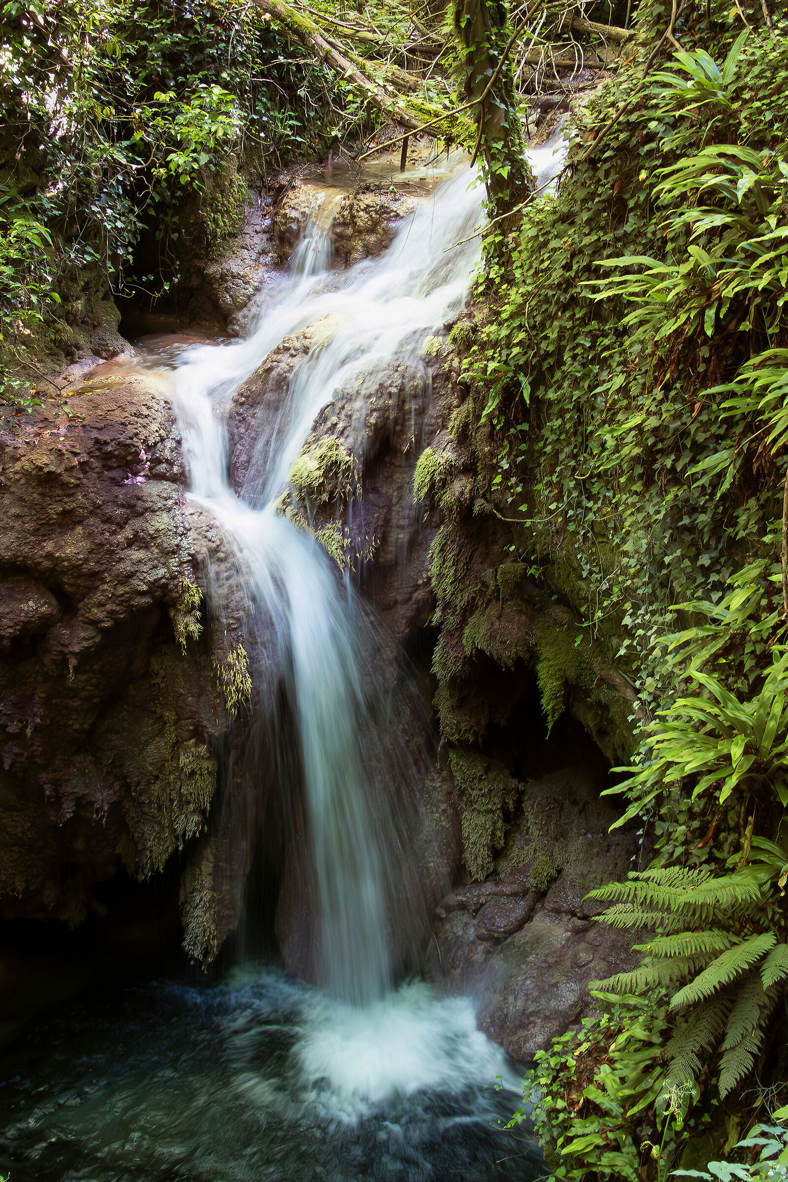 Waterfalls in the thick of the forest