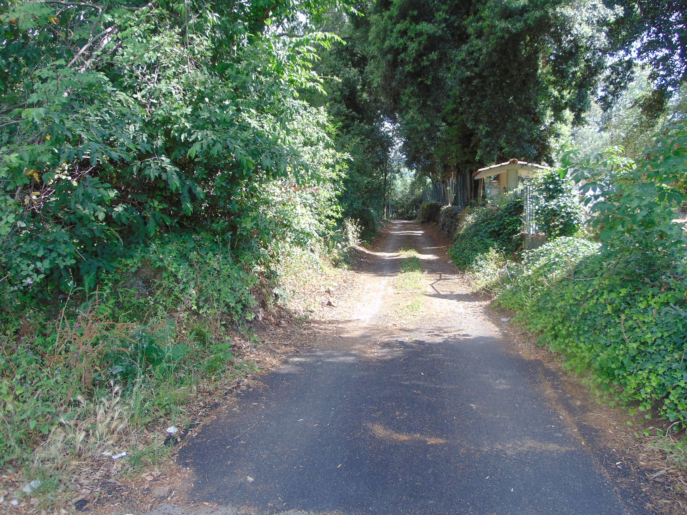 Glimpse of the countryside