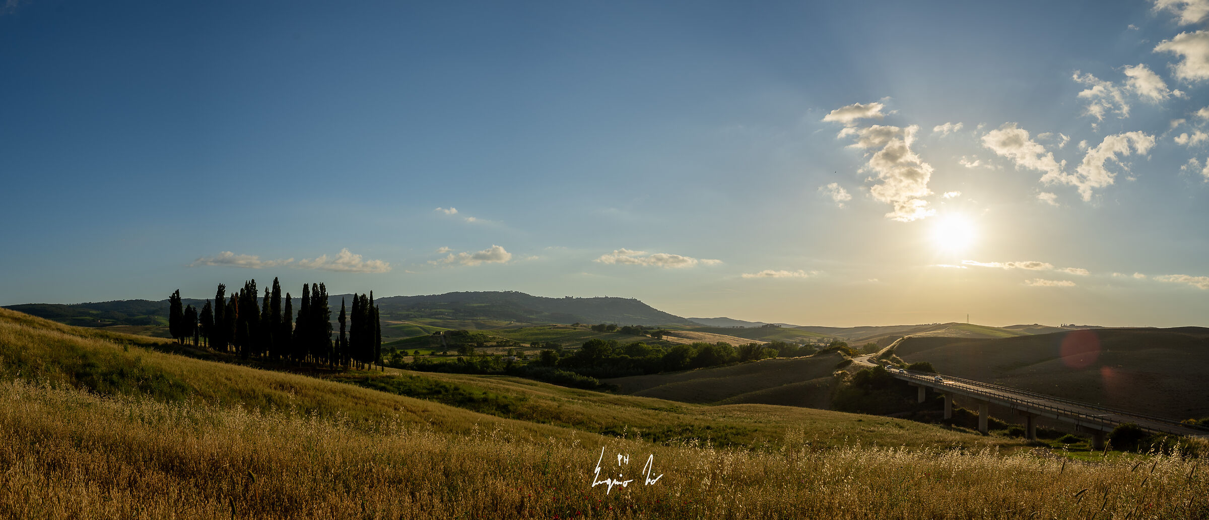 cipressini al tramonto