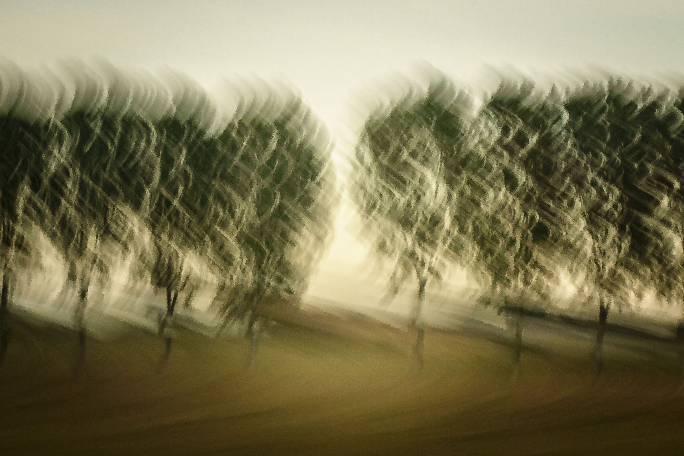 Train trees