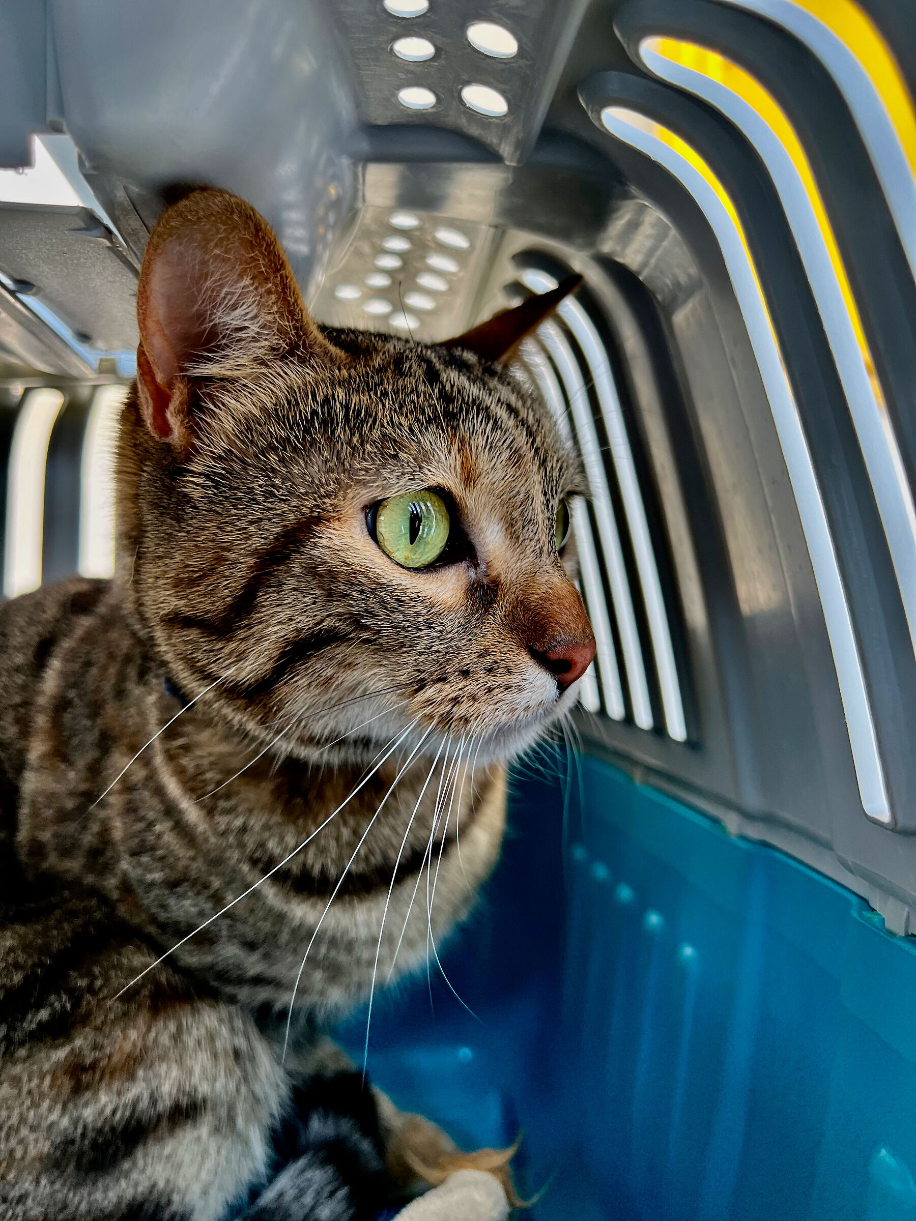 La nostra Margot in viaggio