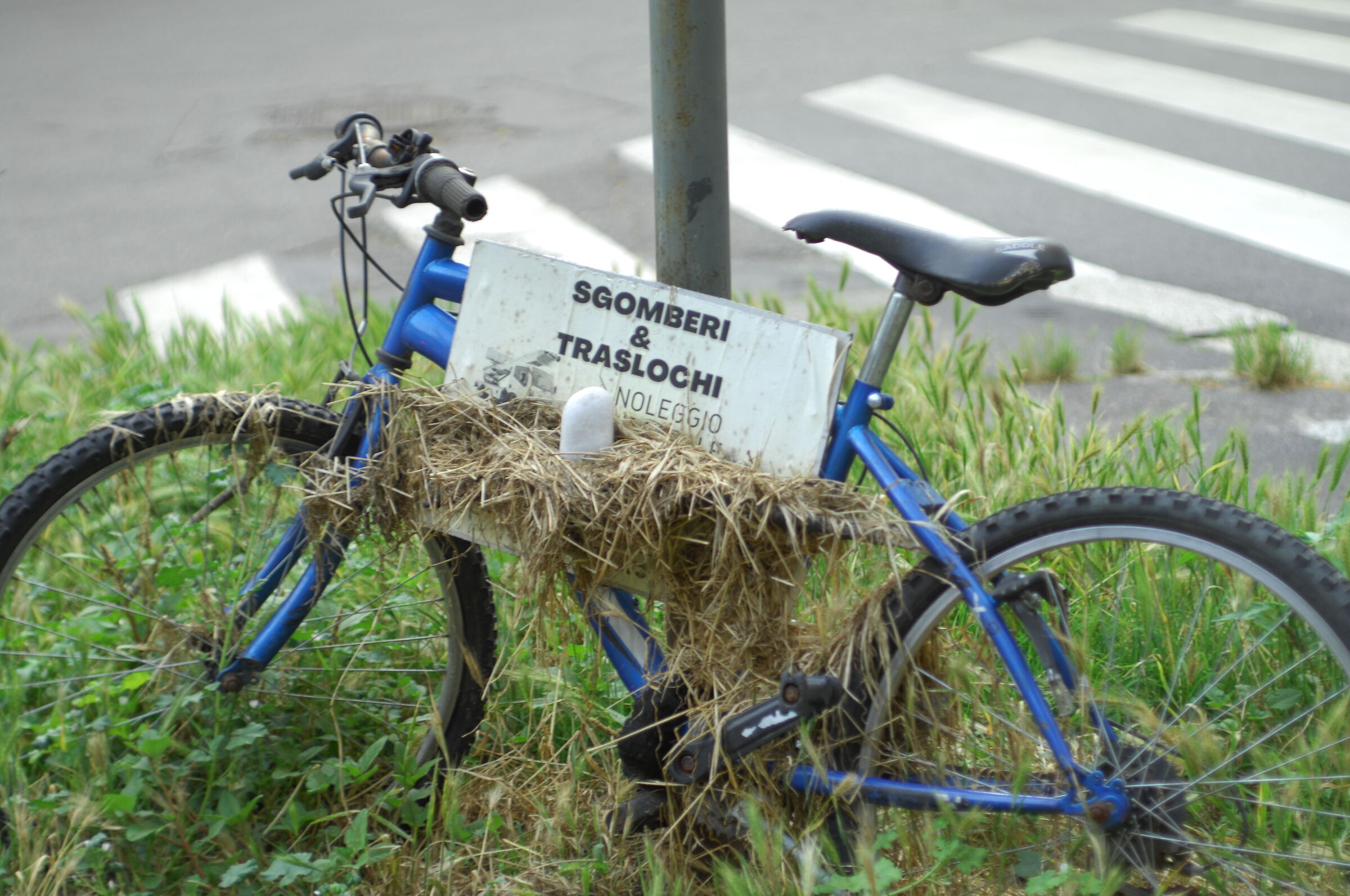 Cambia mezzo che fai più affari!!