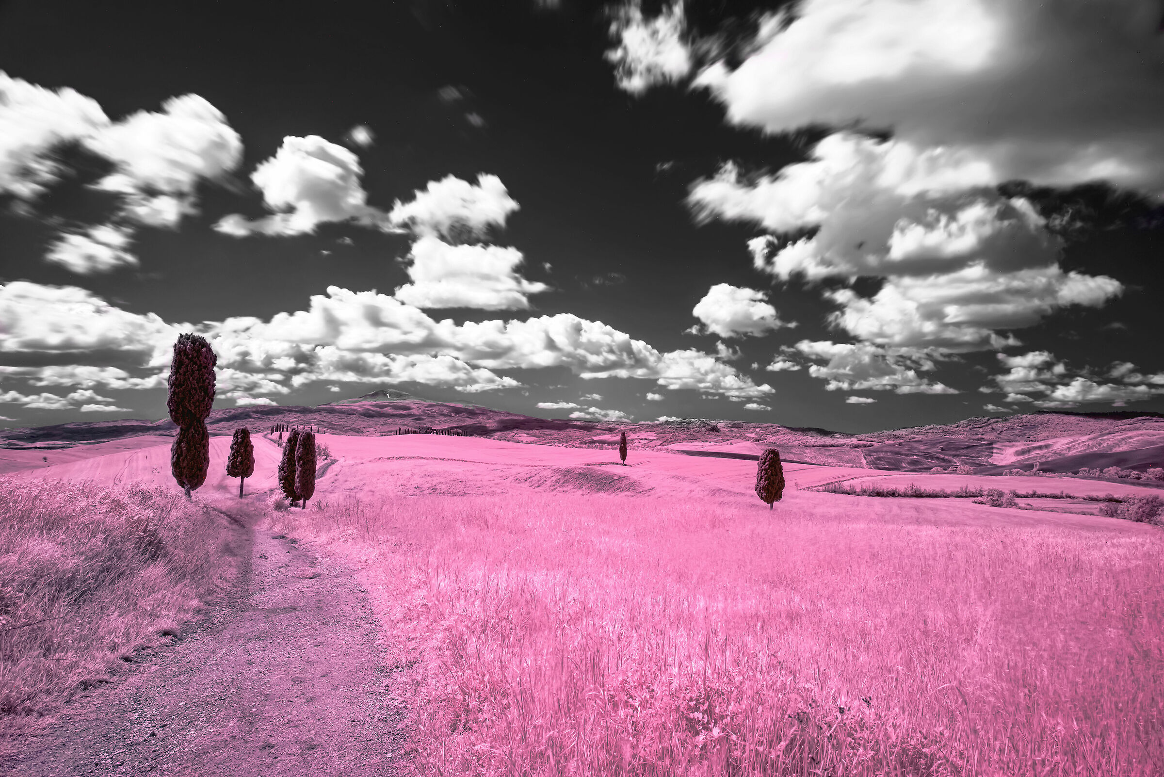 Gladiator Shooting Point