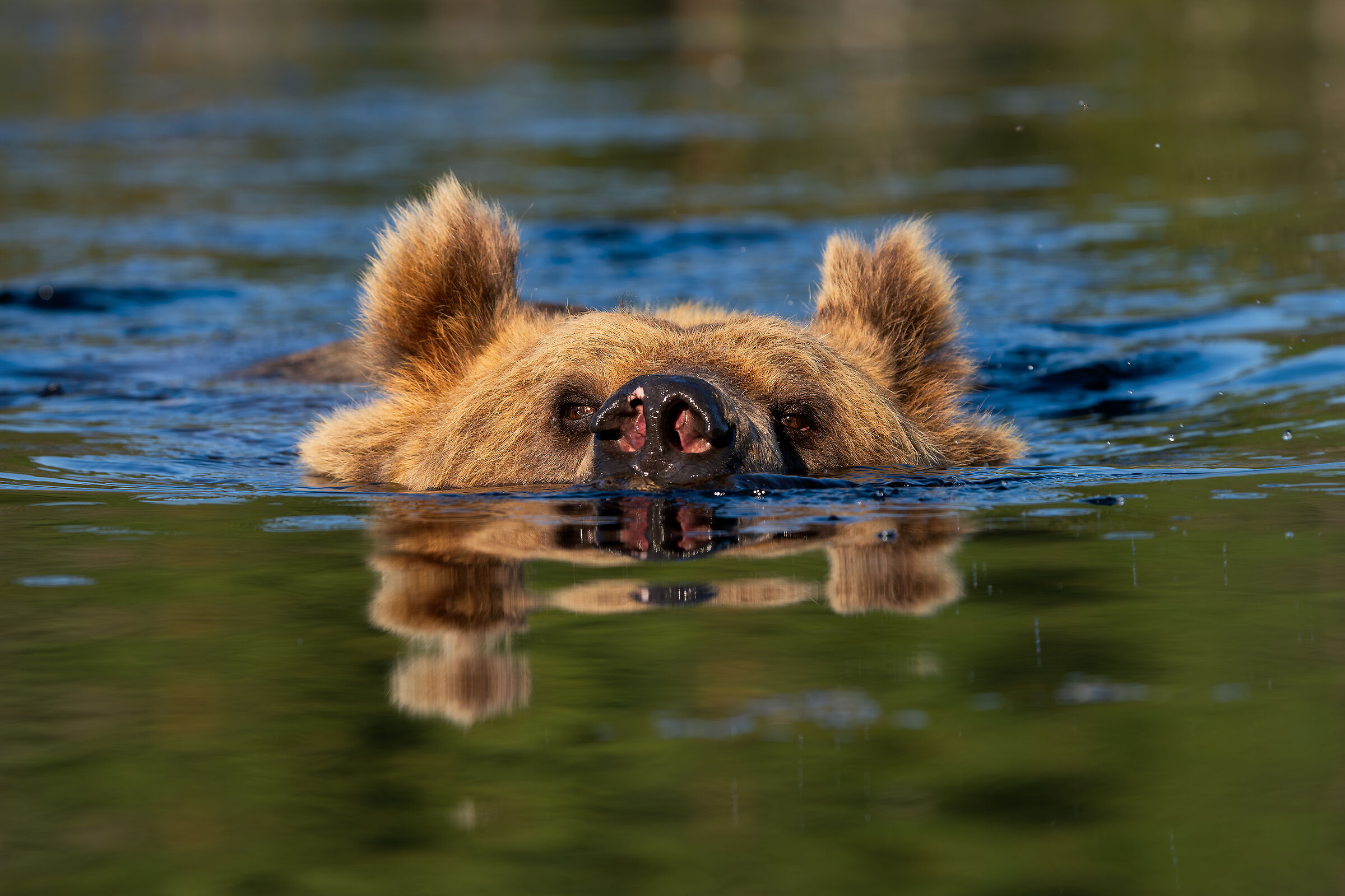 Beauties in the bathroom