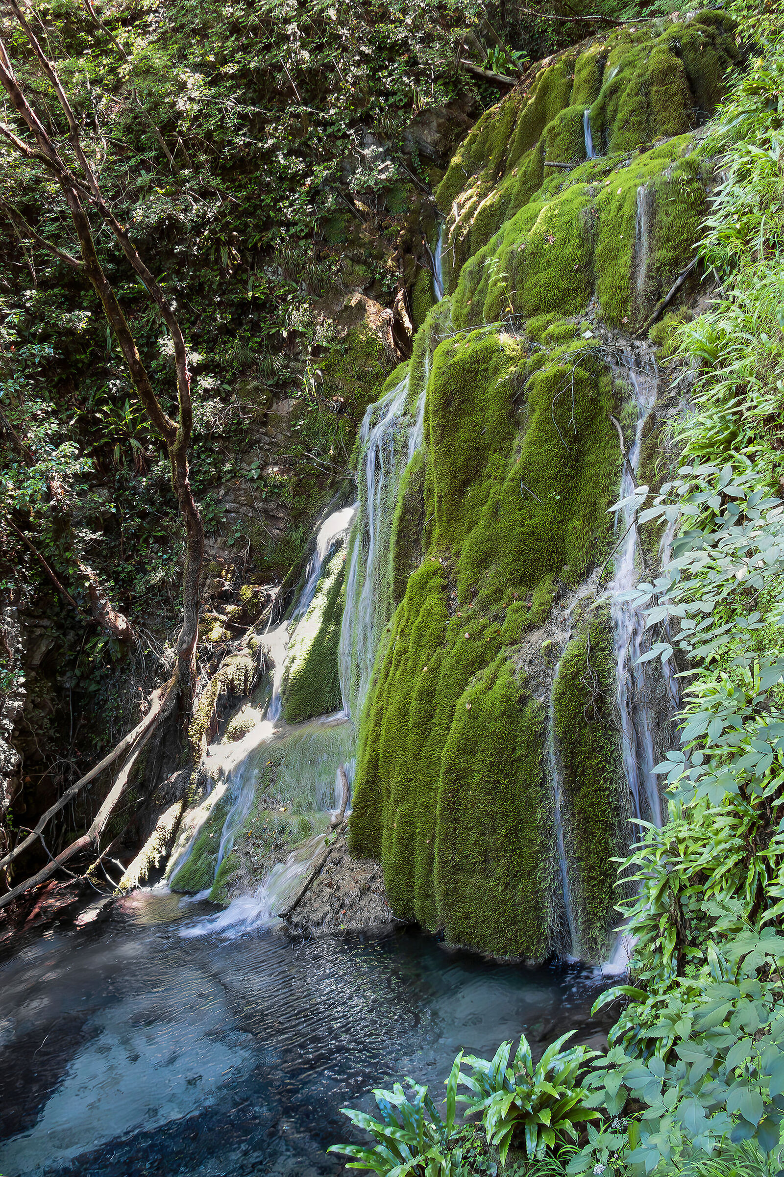 Waterfalls in the thick of the forest