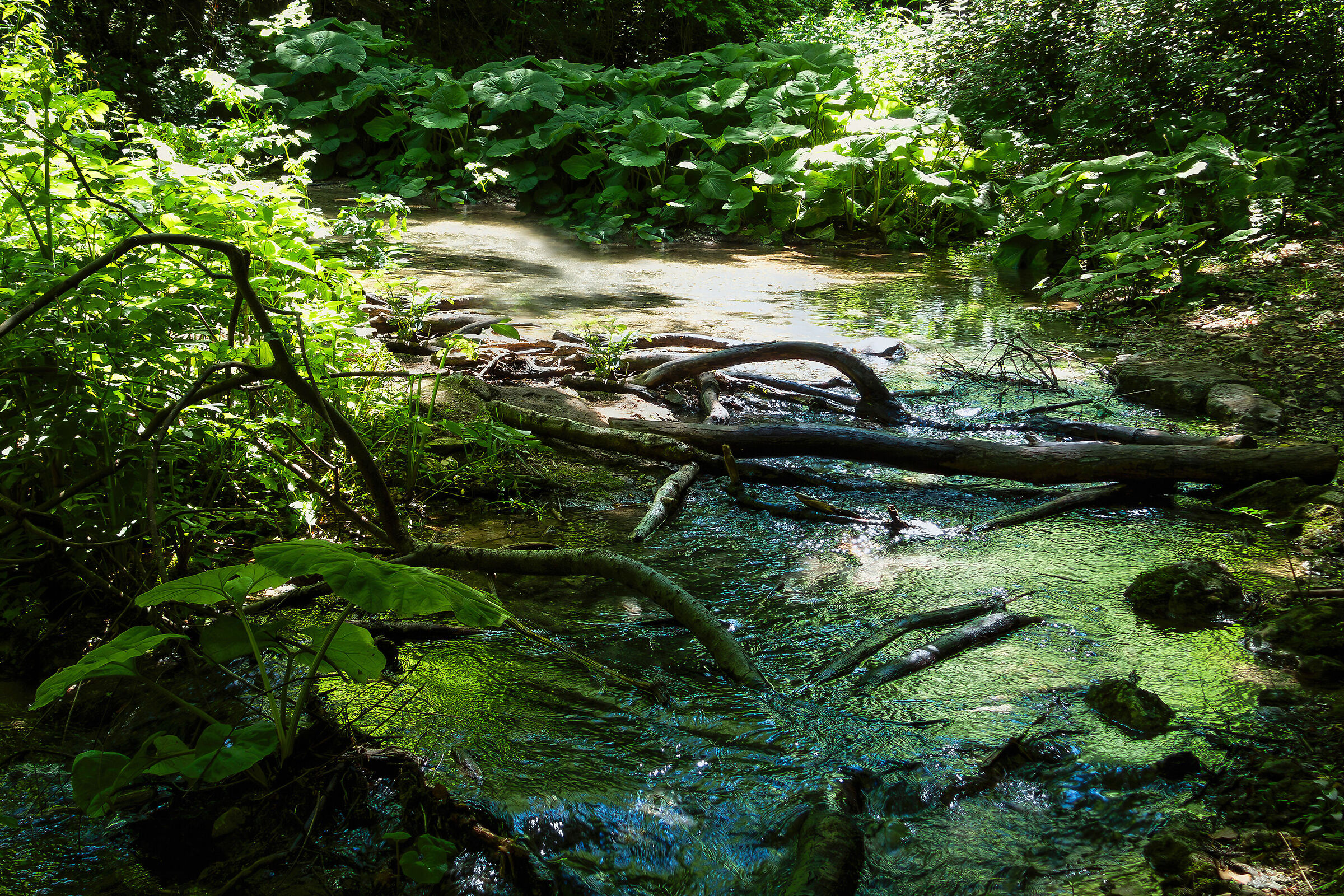 In the middle the river