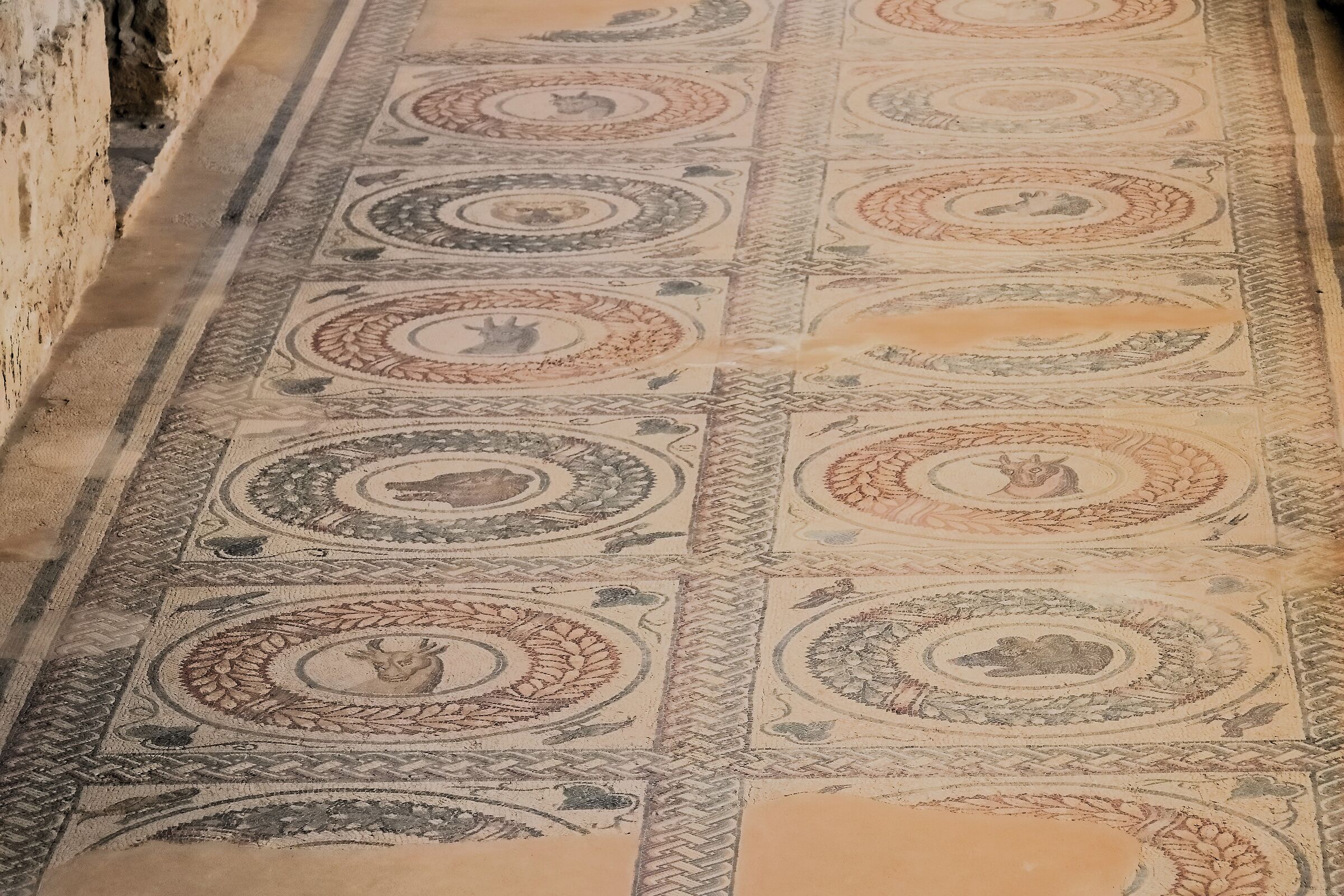 Piazza Armerina 18-4-2024 - 0663