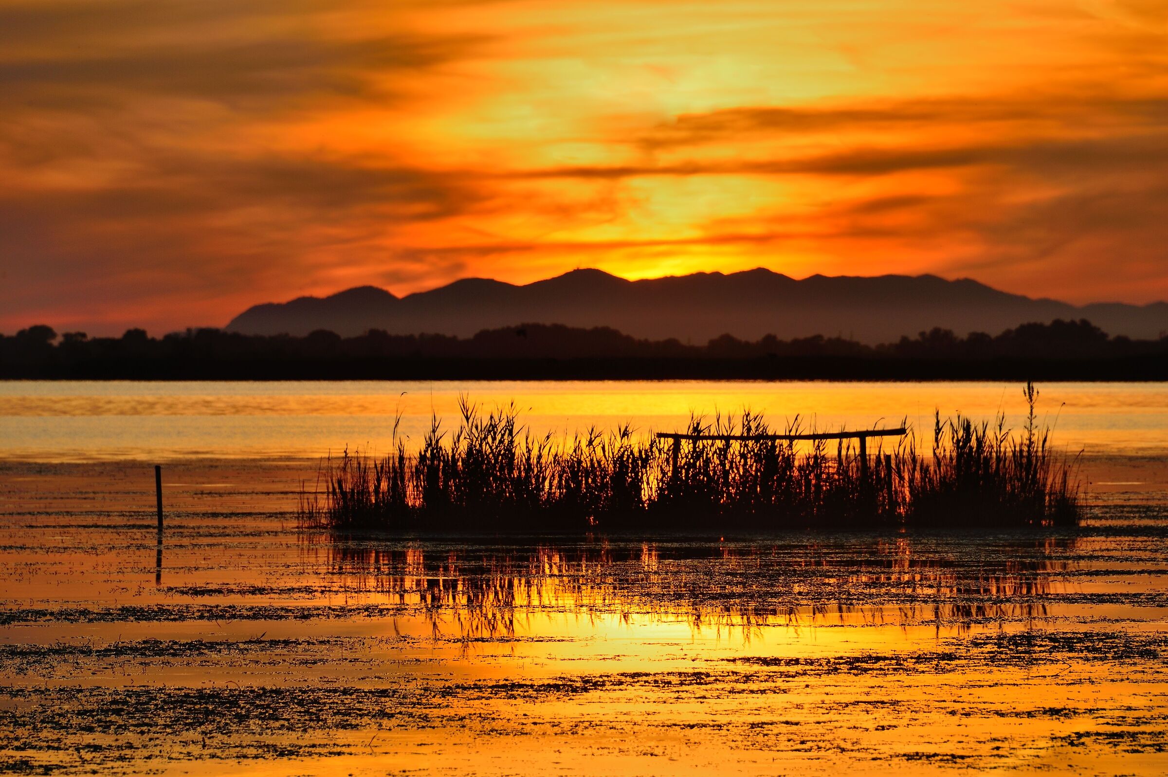 Il saluto del lago