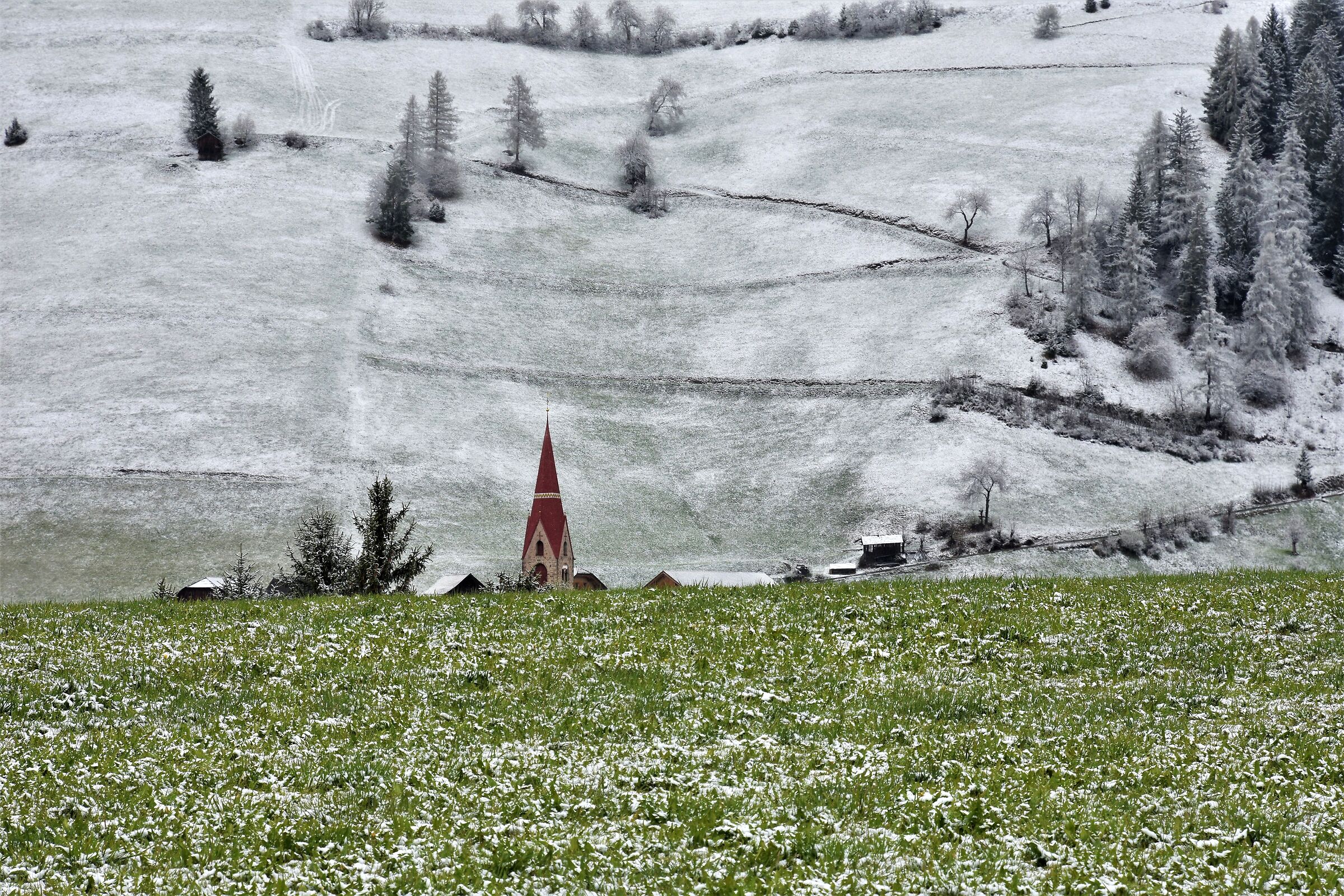 Una punta di rosso tra la neve e il verde