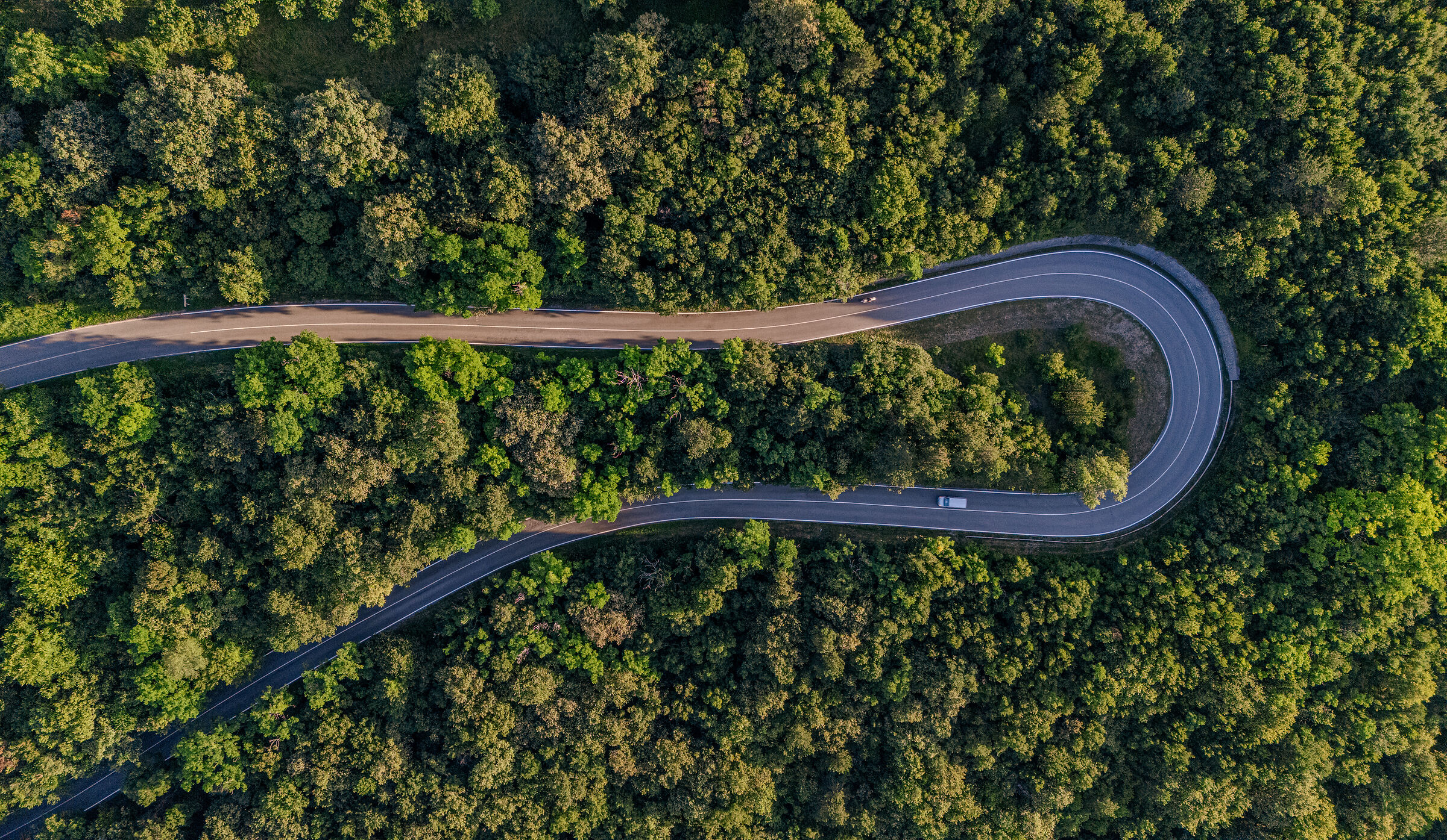 La cruna “dell'auto”