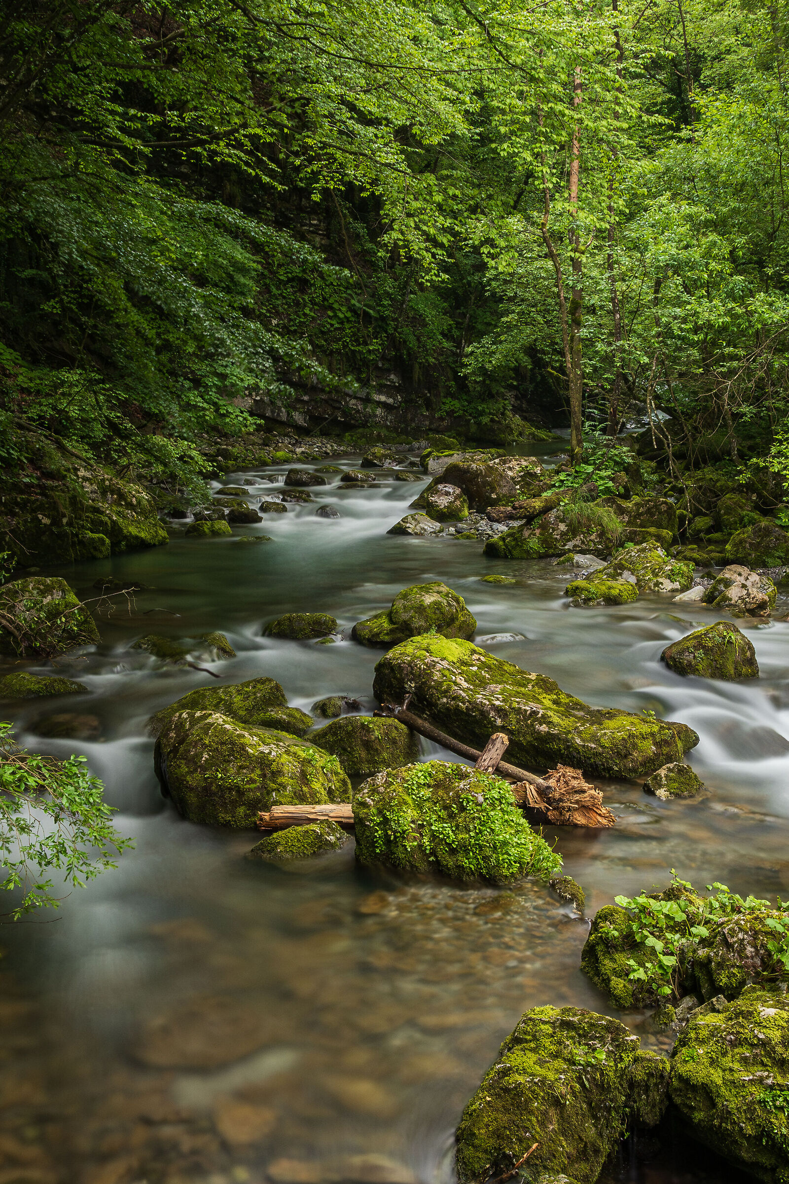 Path to the sources of the Enna stream