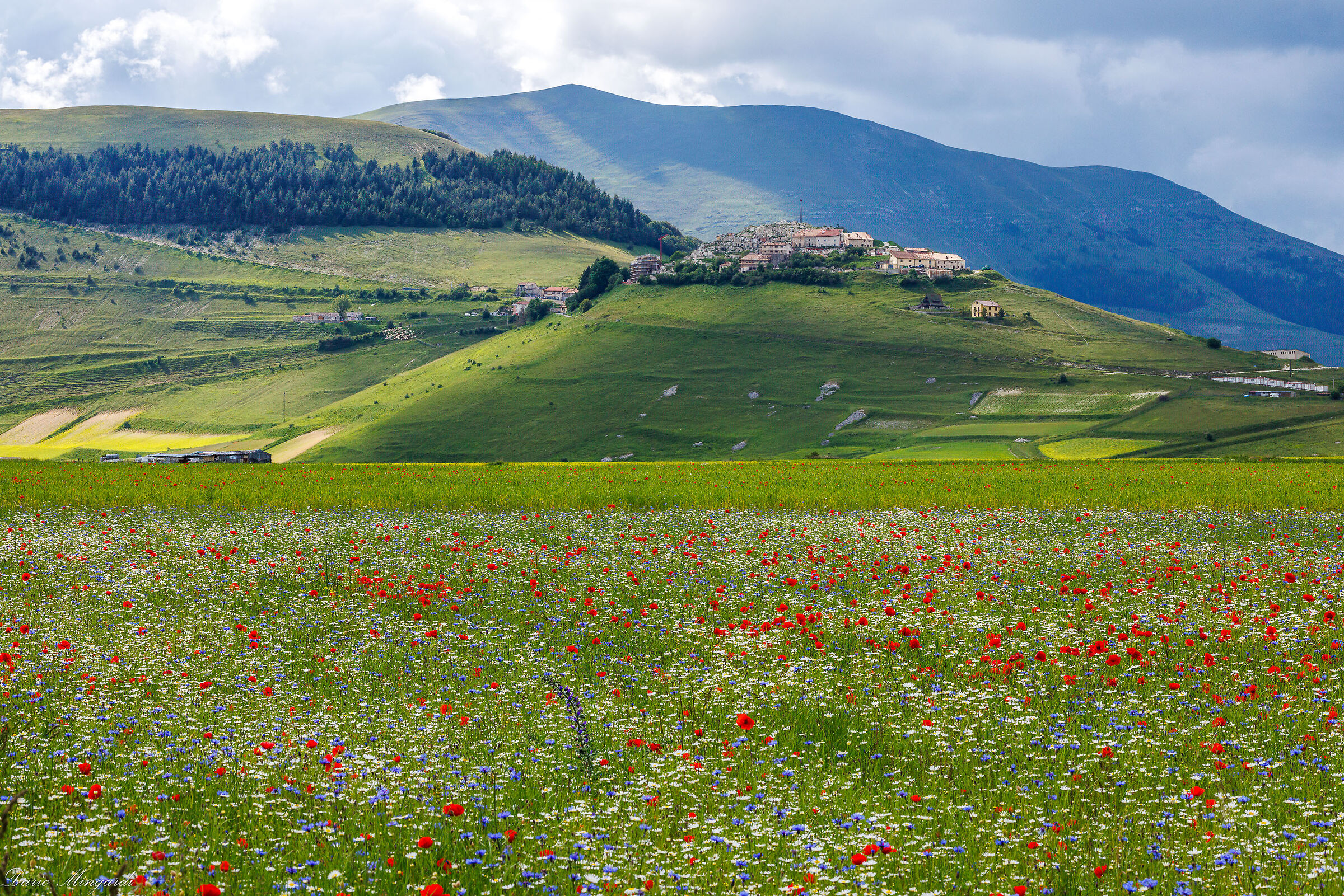 Castelluccio di Norcia