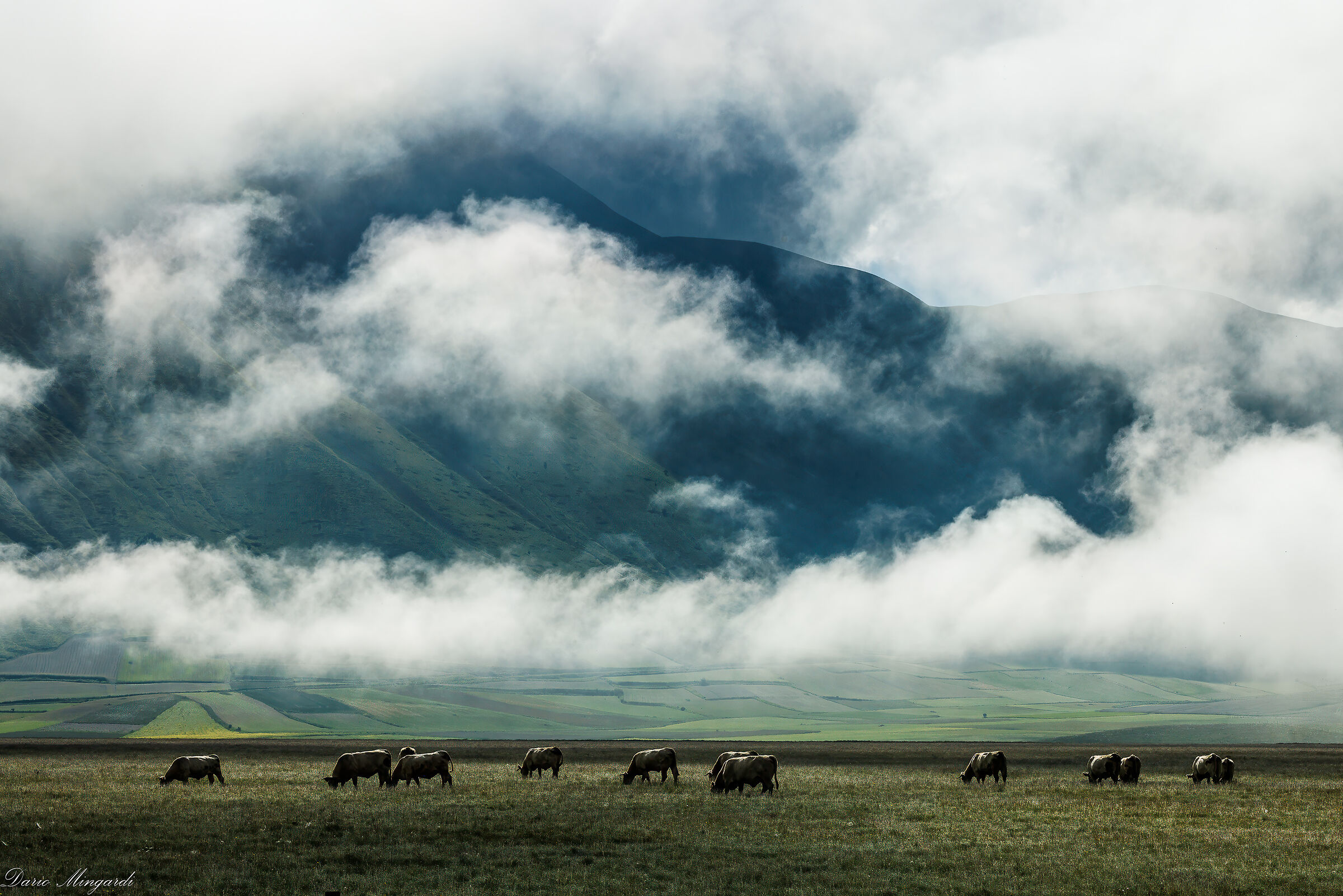 Castelluccio di Norcia