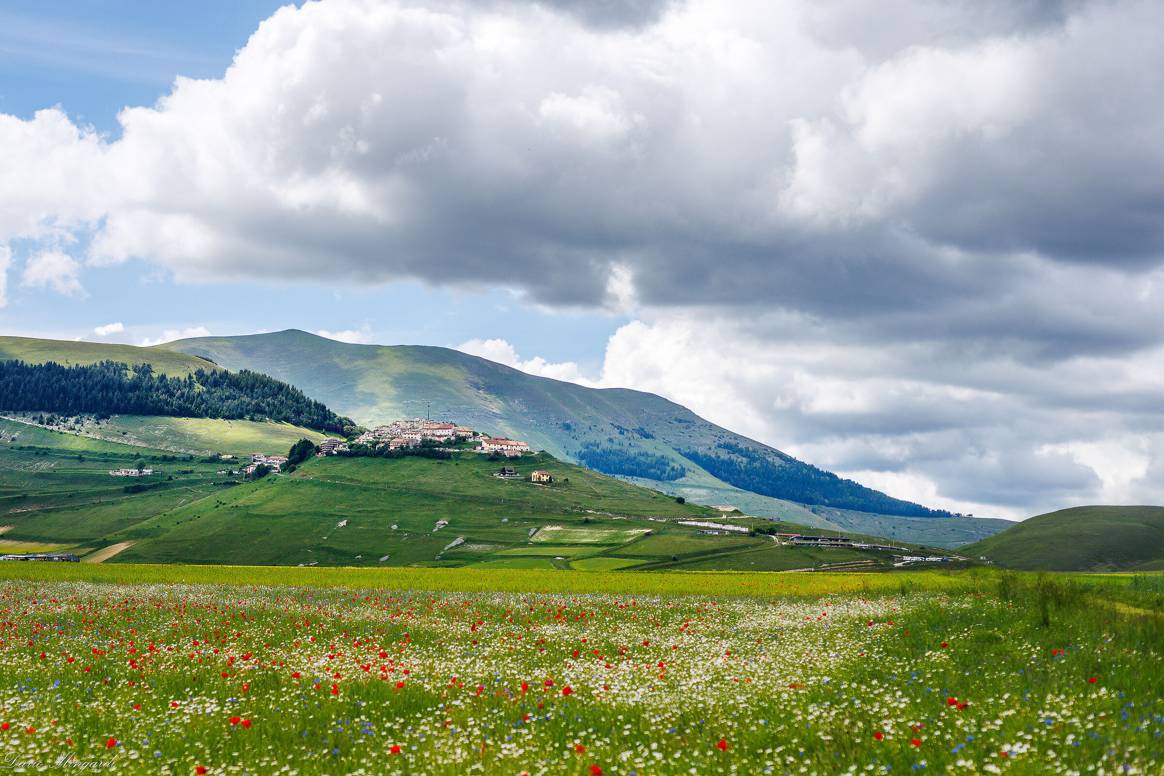 Castelluccio di Norcia