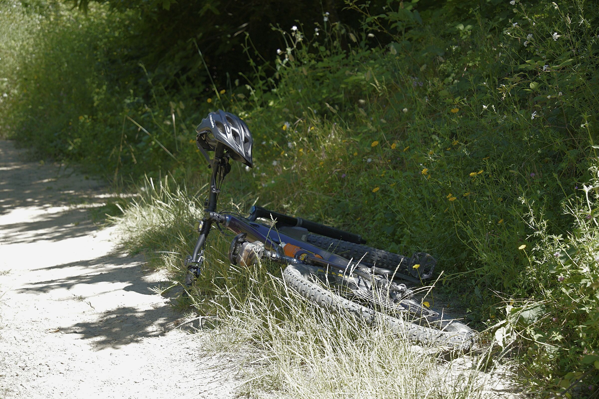 La mia compagna per escursioni anche fotografiche..