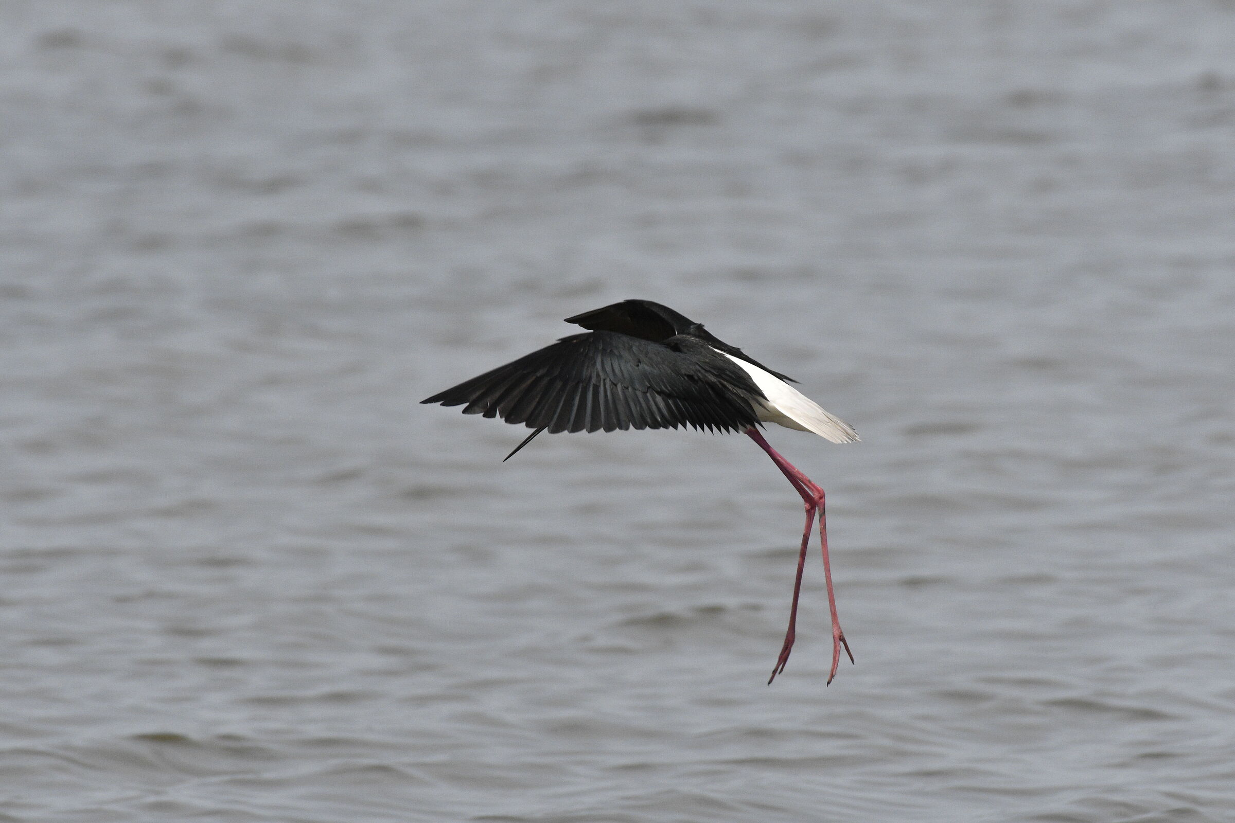 Arrivo a darti il cambio