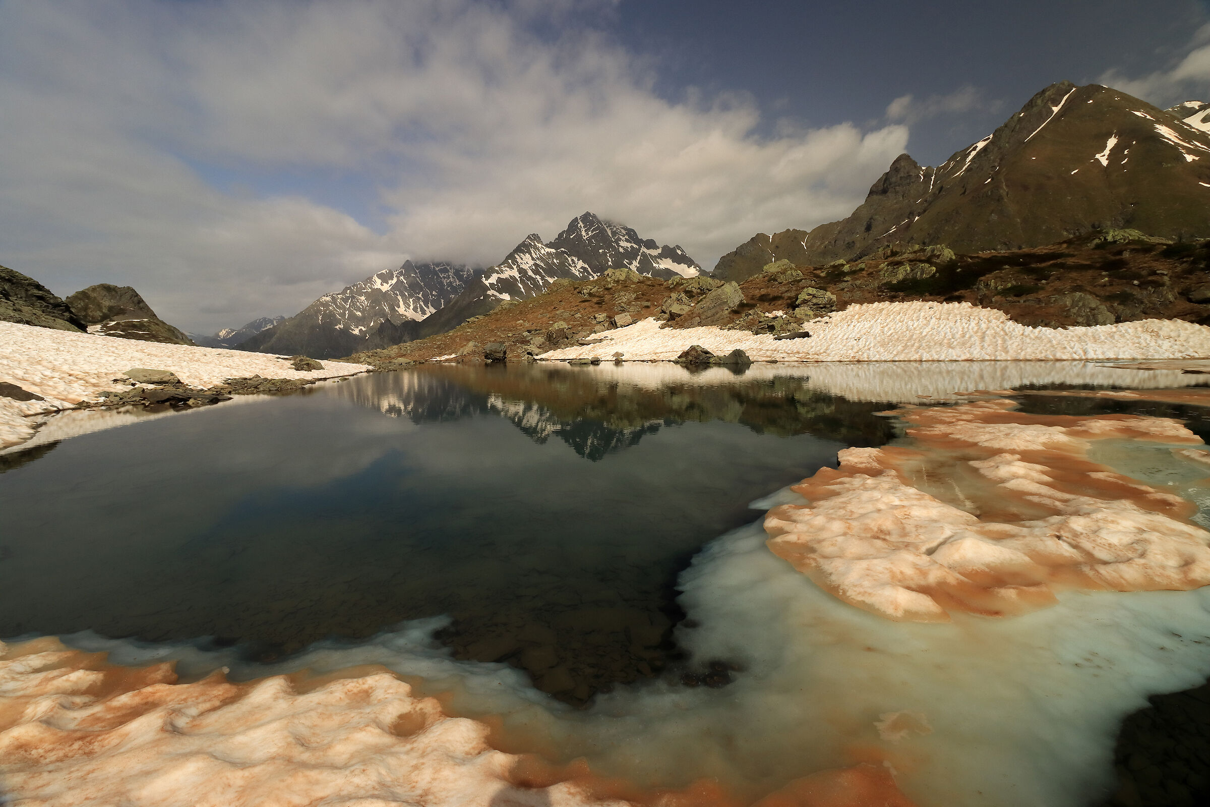 Black Horns - partial thaw -