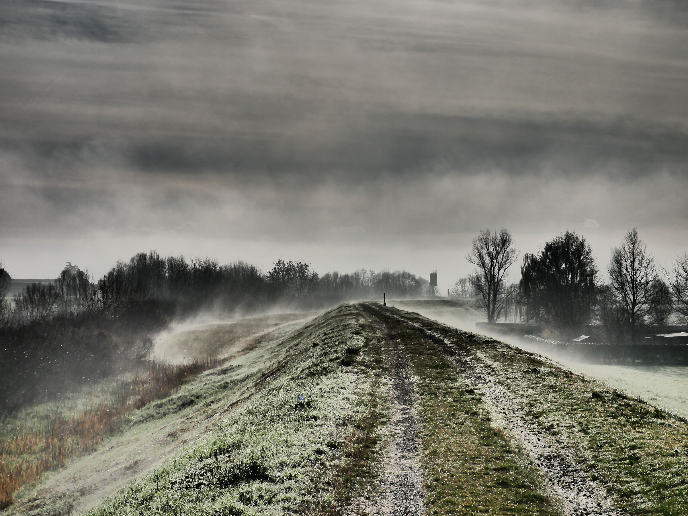 mattinata invernale sull'argine di Panaro