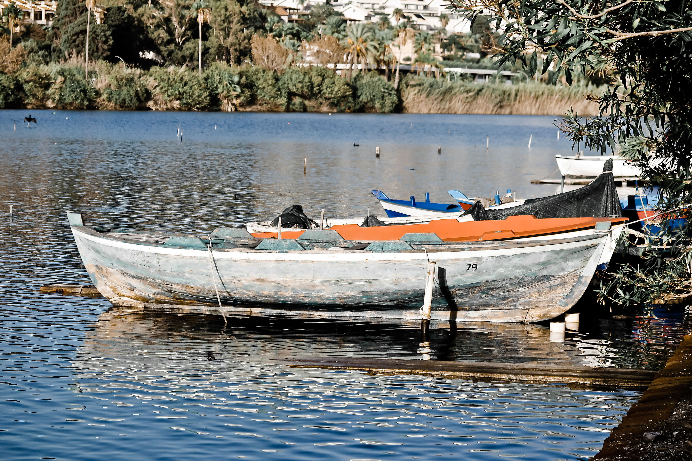 Lago Grande Ganzirri - Messina Sicily
