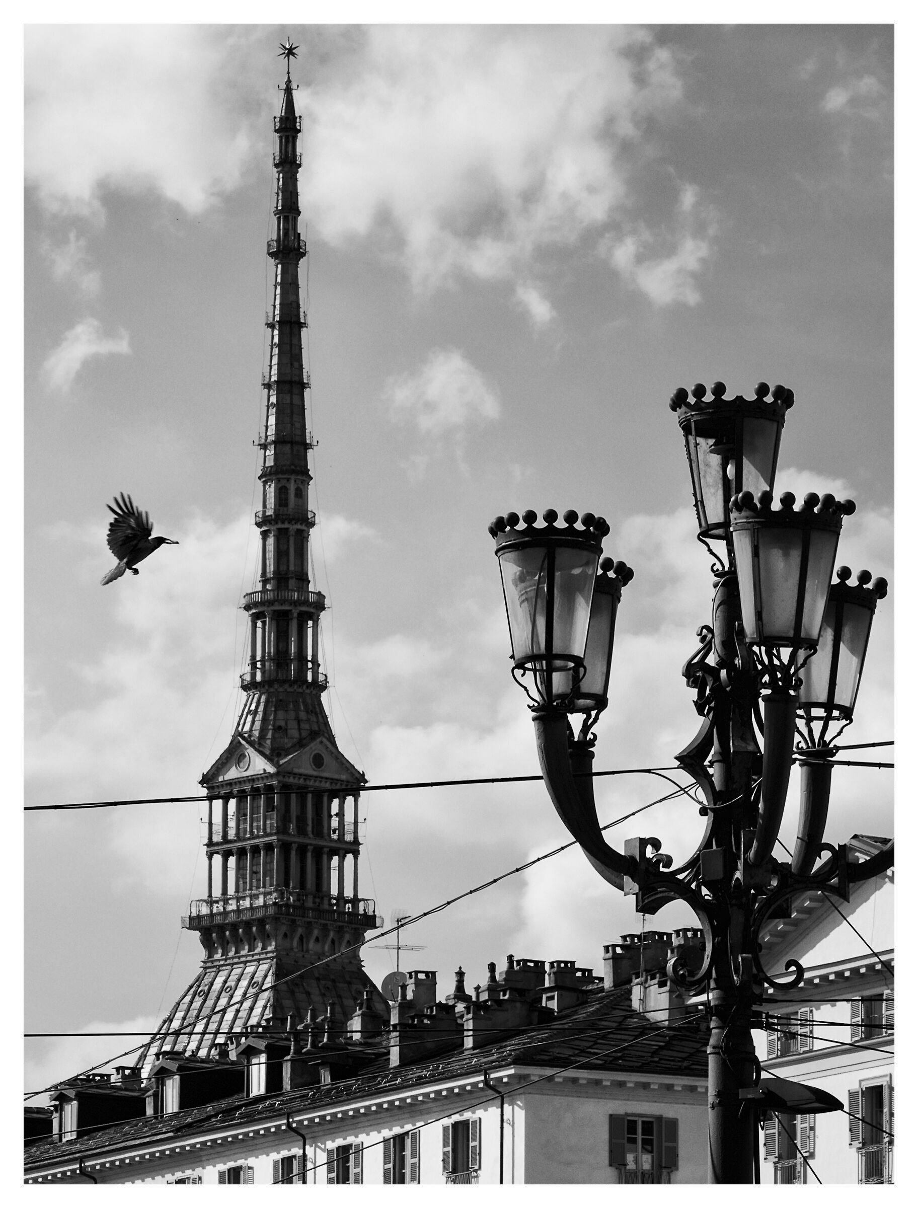 Torino