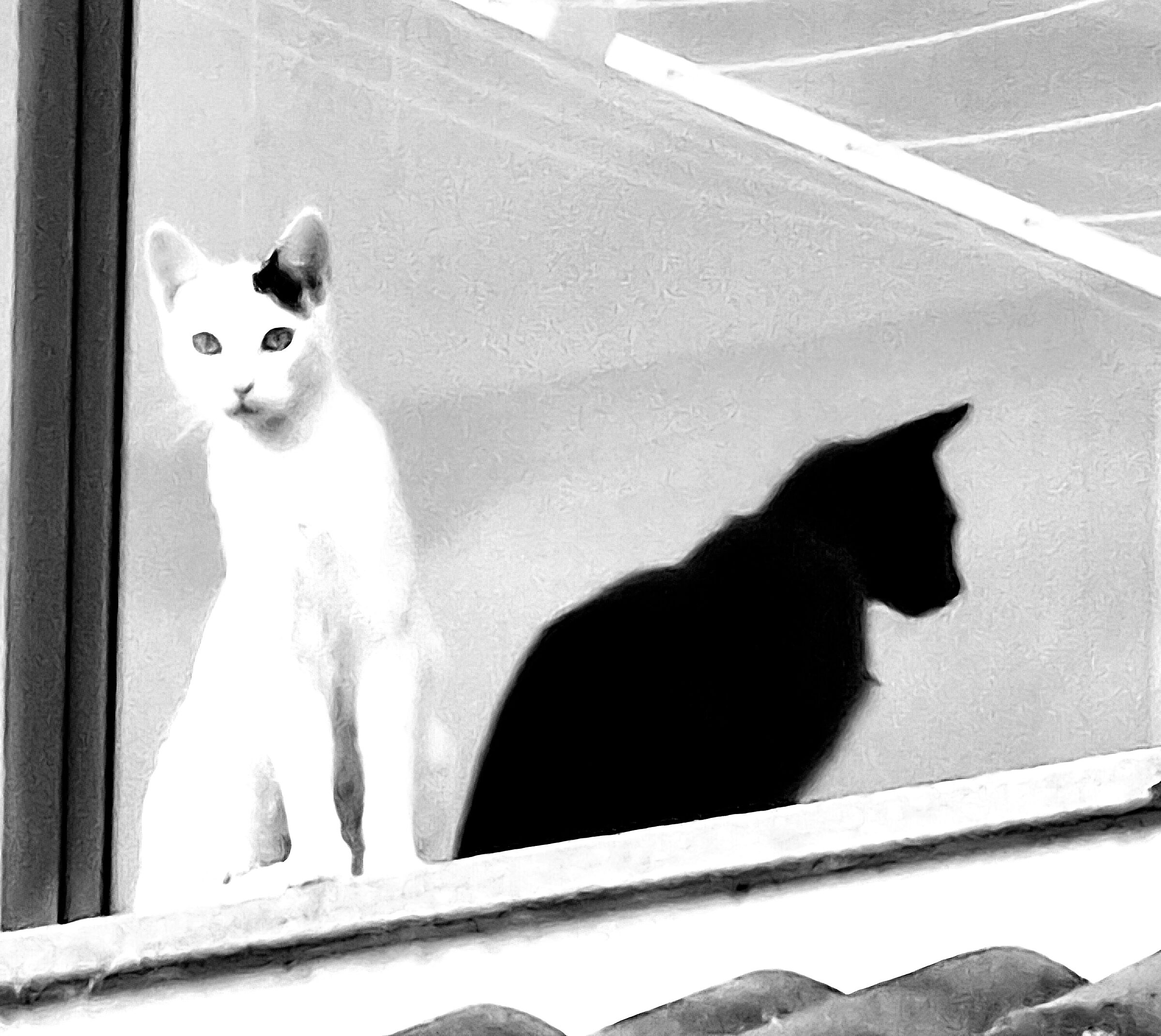 You want to jump off the roof?... And I'm going away