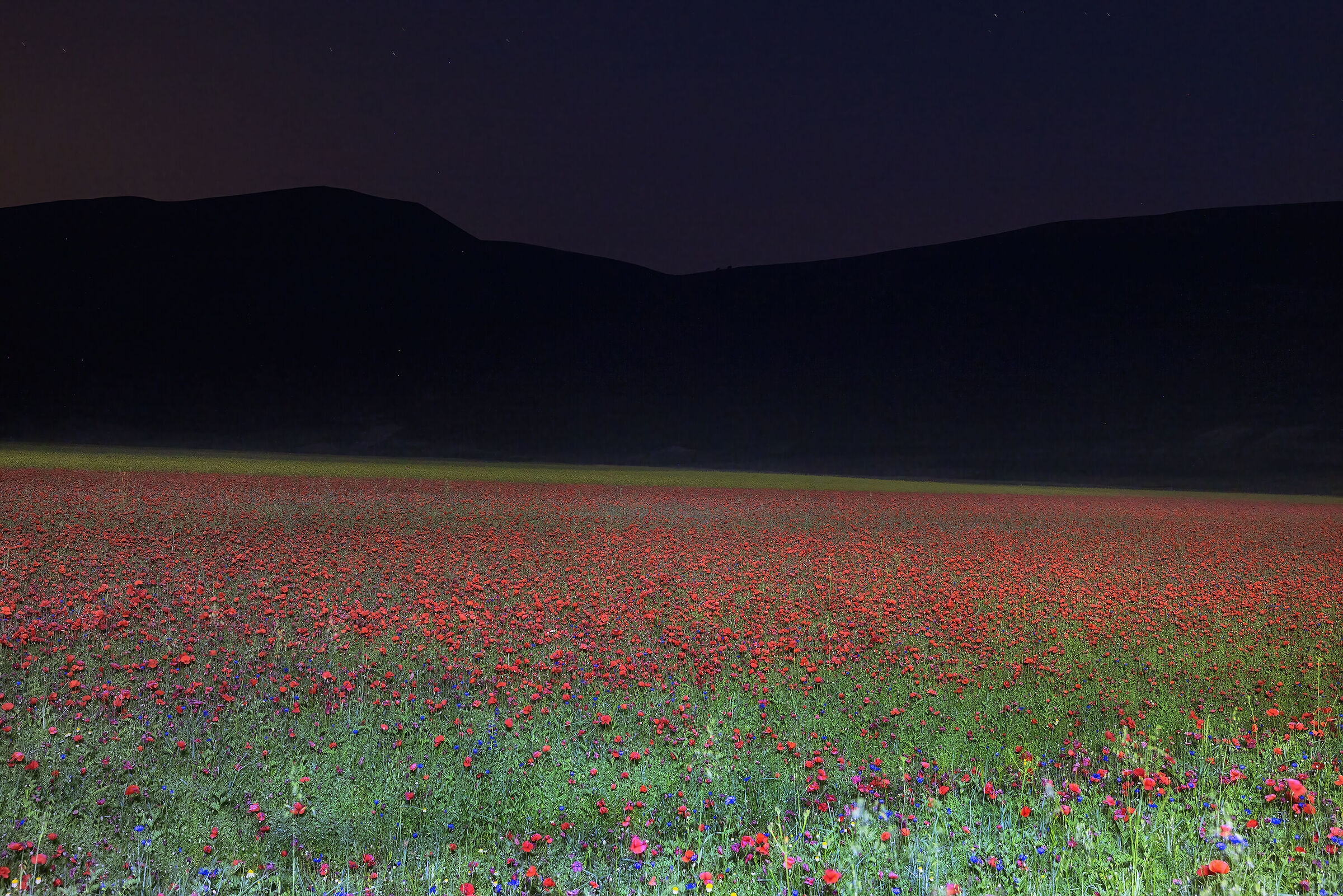 notturna a Castelluccio