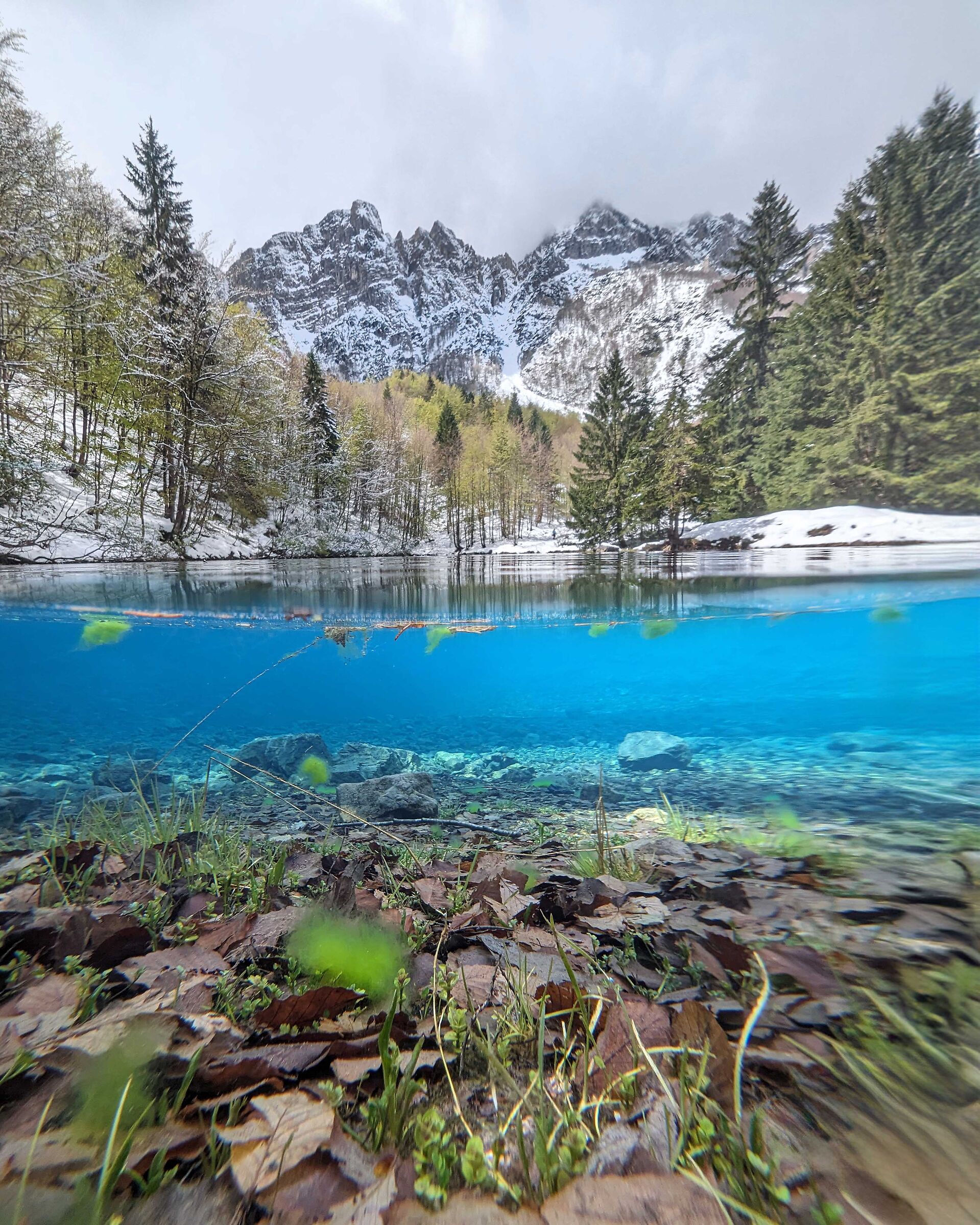 Il Sea del Risso, Recoaro Terme