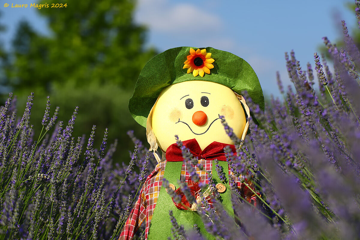 Felicità tra la lavanda