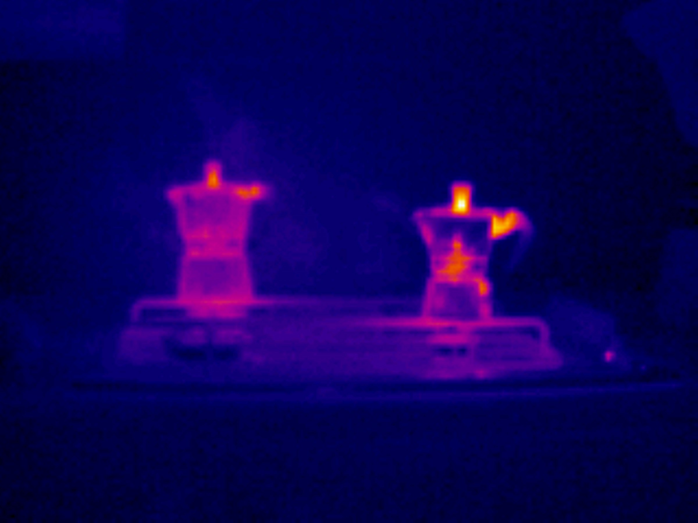 thermographic image