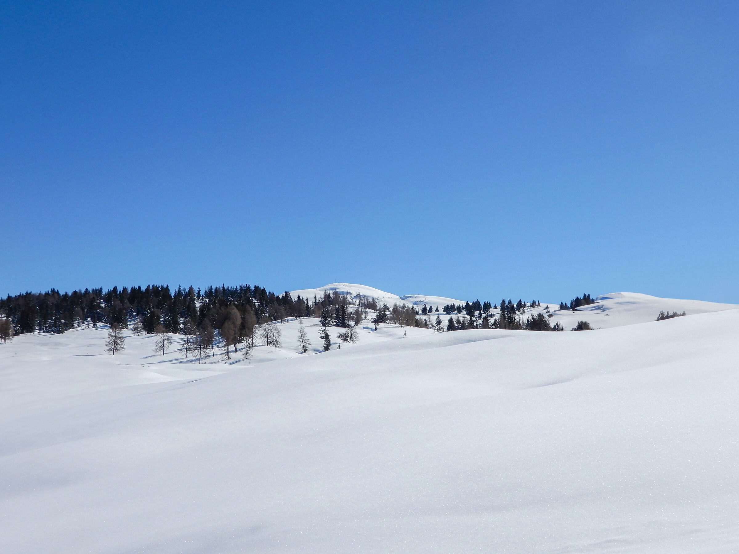 Snow