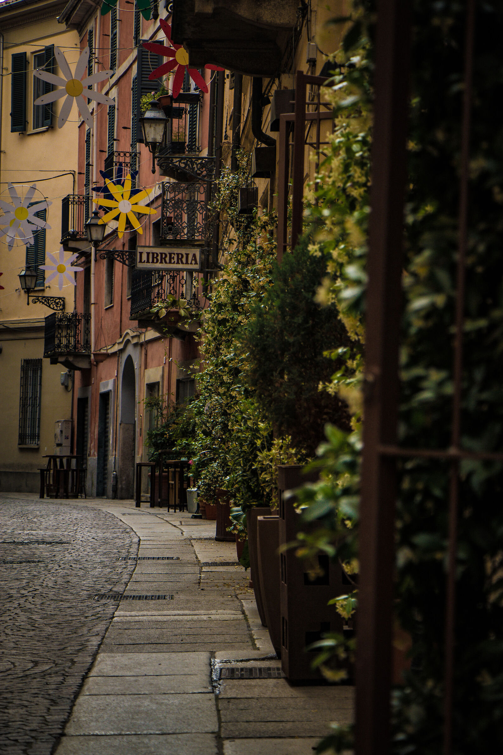 Via Bissati, Alessandria