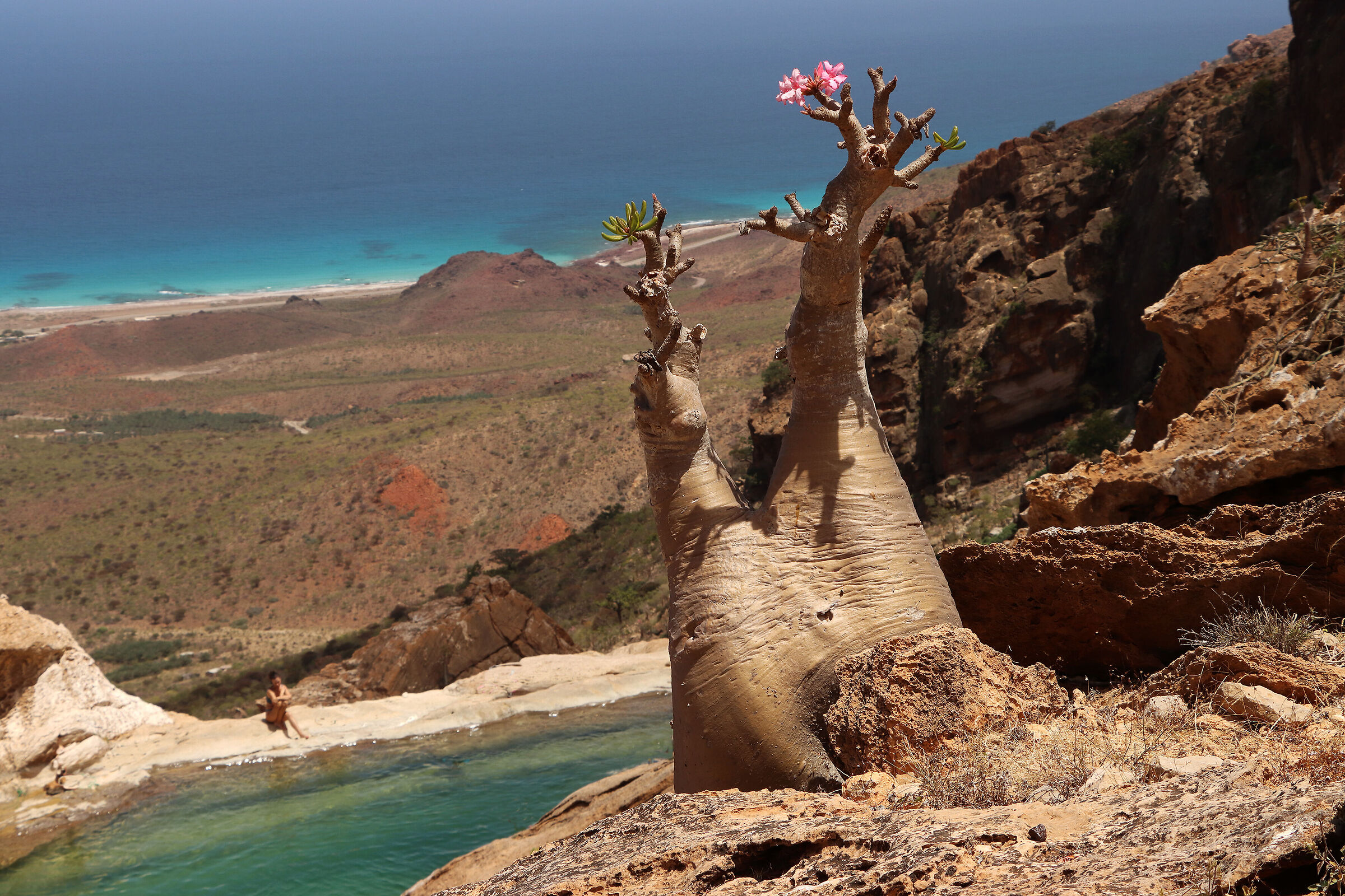 S O C O T R A - la bagnante privilegiata