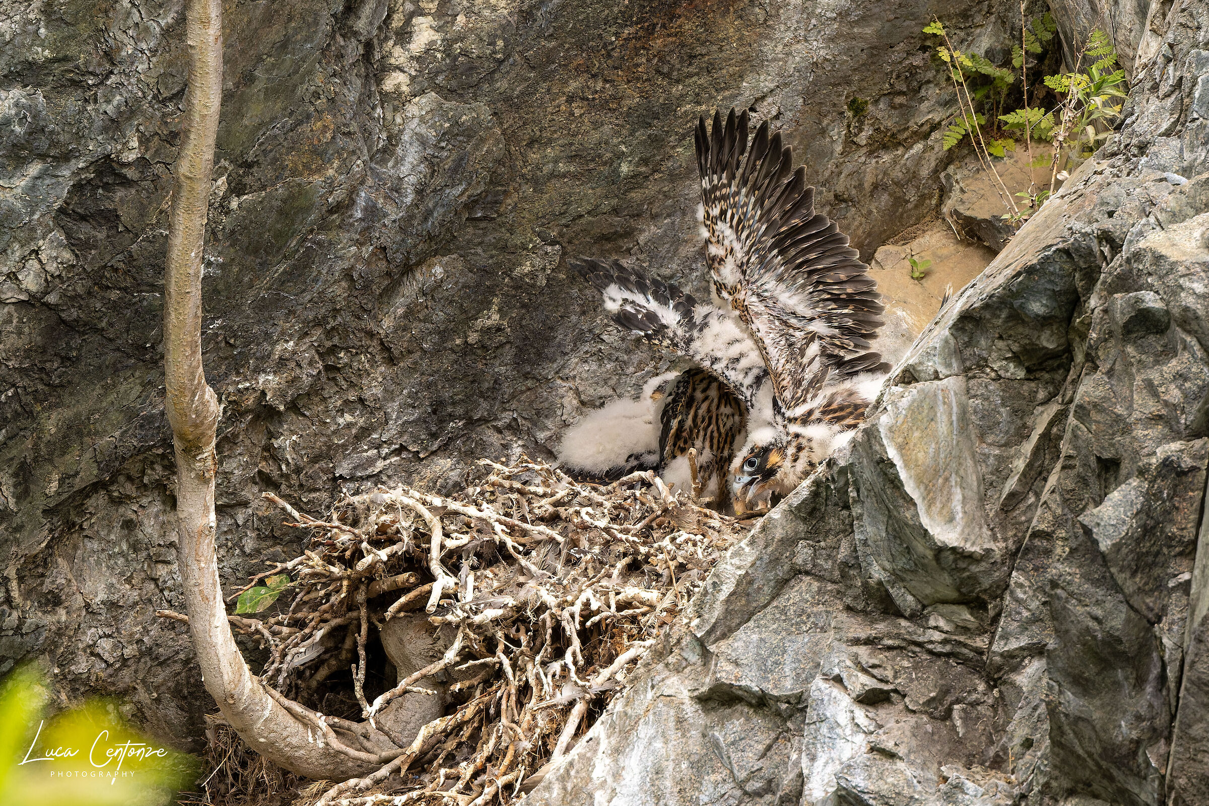 Un po' di stretching per festeggiare .....