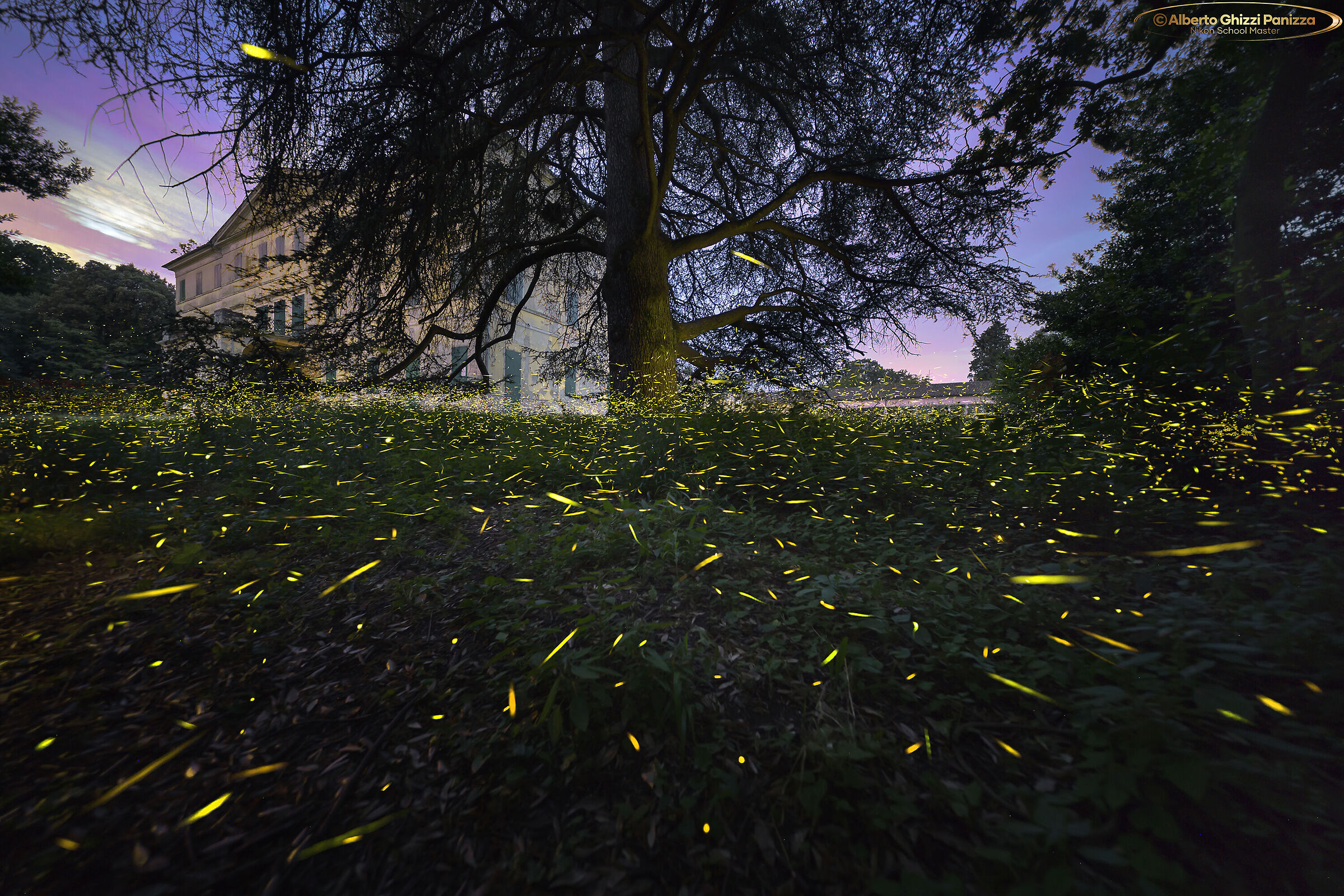 Prime prove di foto notturne con la Nikon z6iii