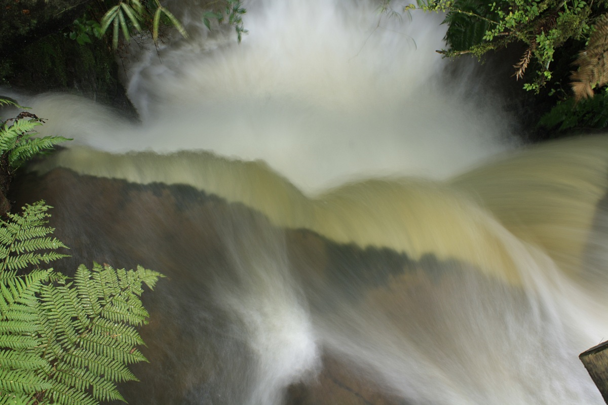viaggio nel sud del brasile
