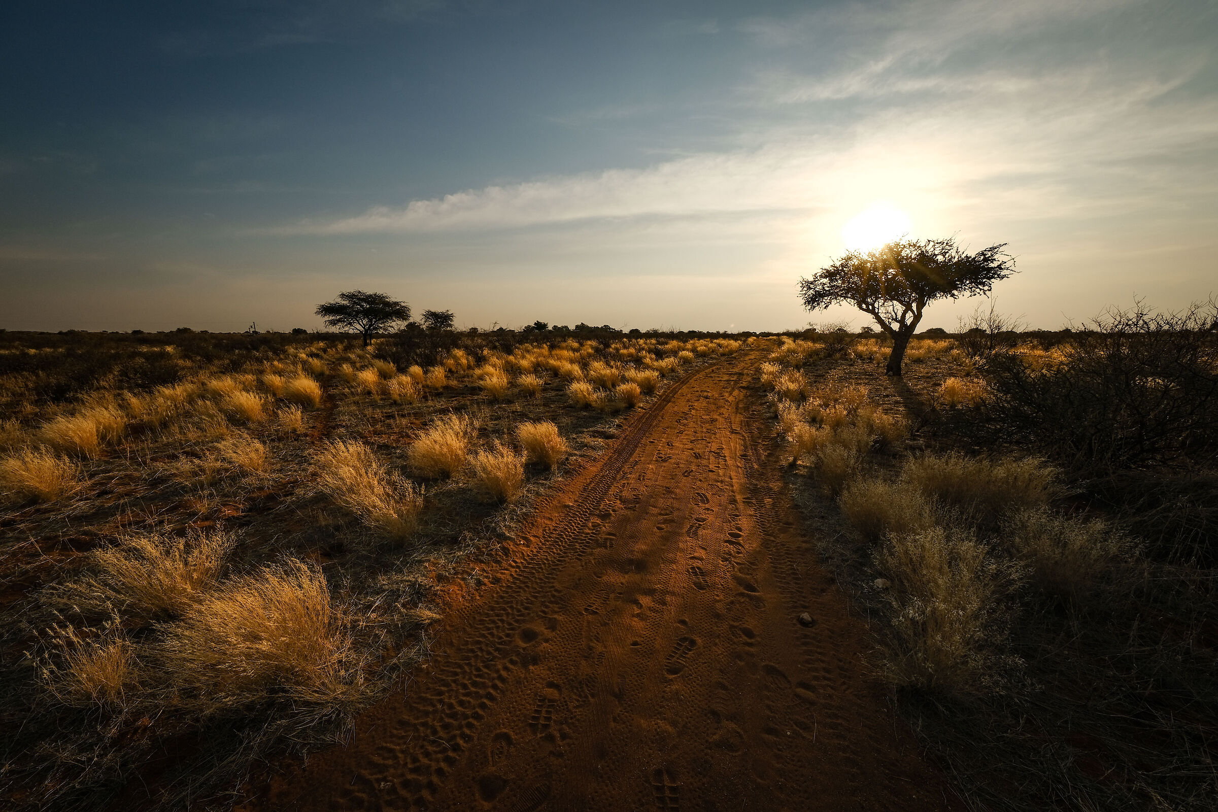 Red Road