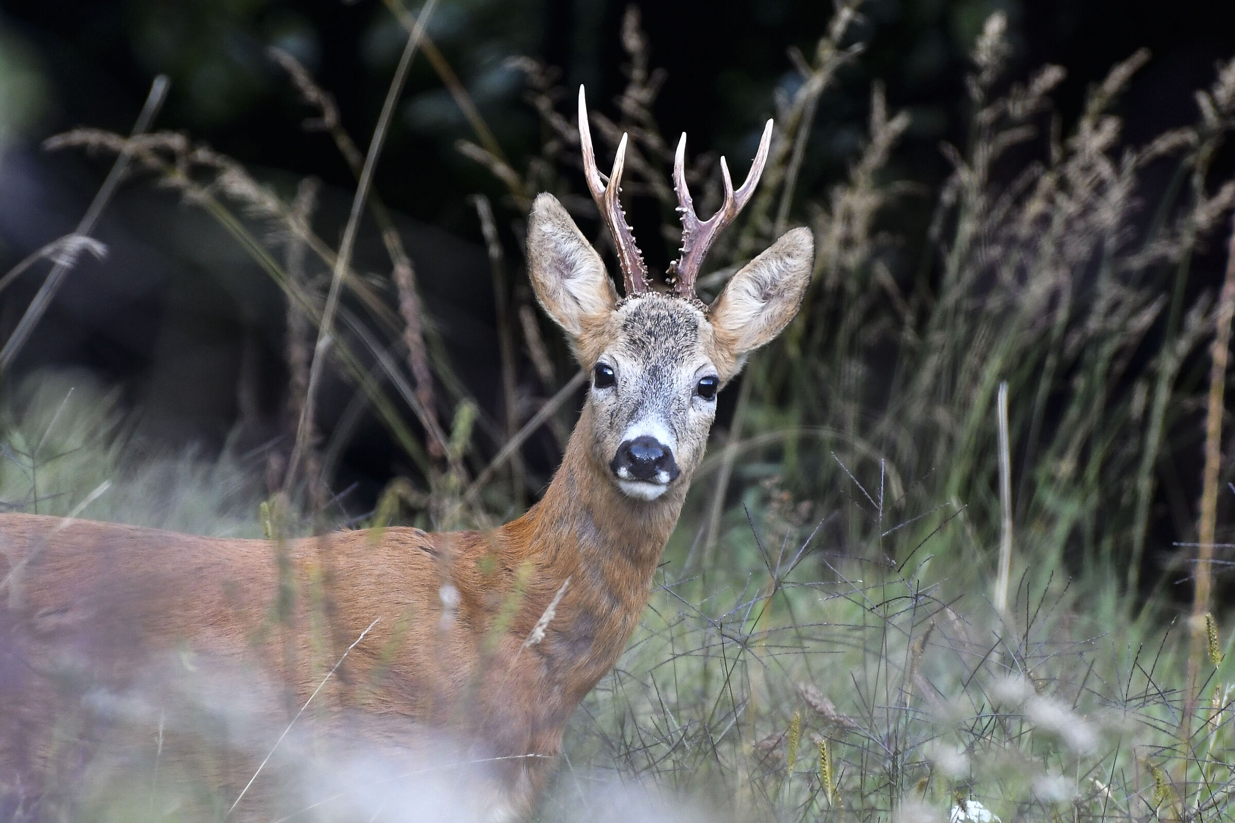 I feel like I'm being watched