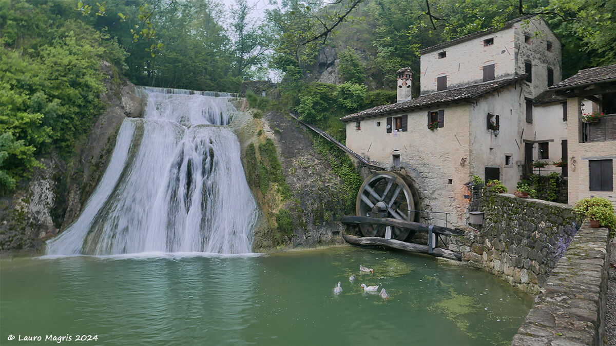 Mulinetto con ospiti