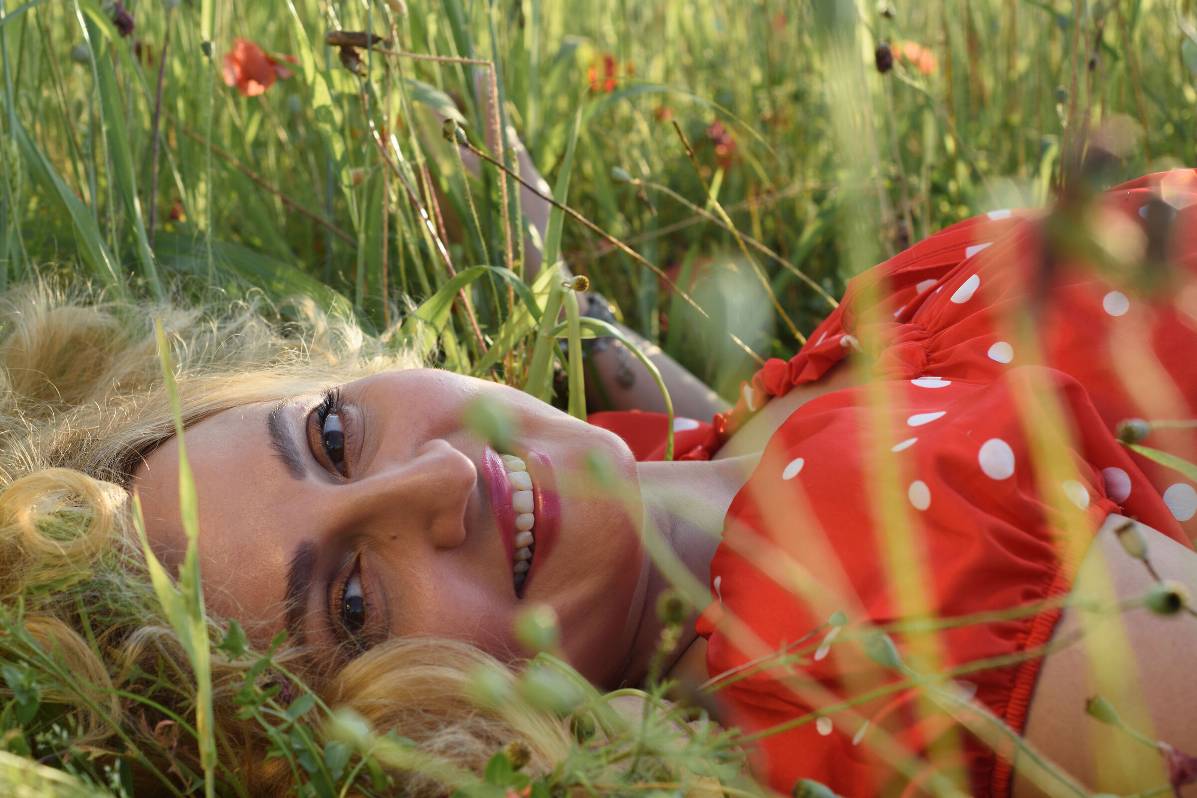 Lo sai che i papaveri sono alti alti alti