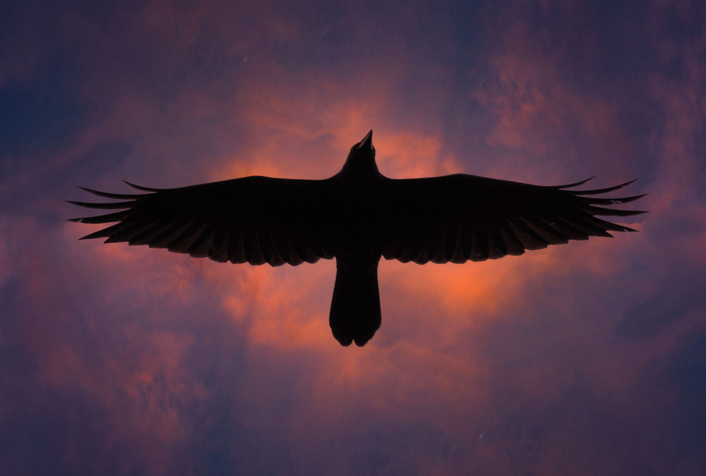 Provate a girarla al contrario, cosa vi viene in mente?