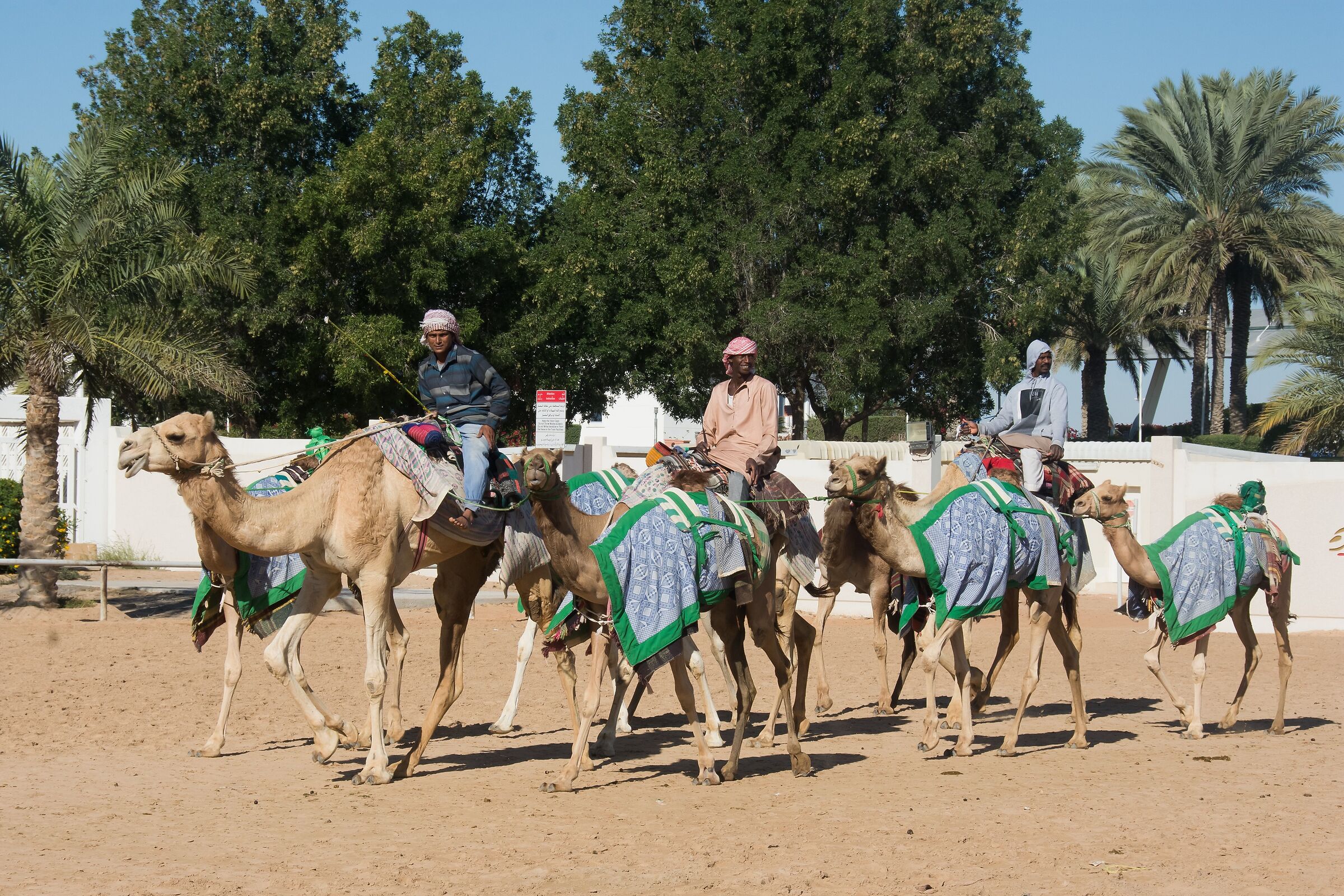 Una Farm di Dubai
