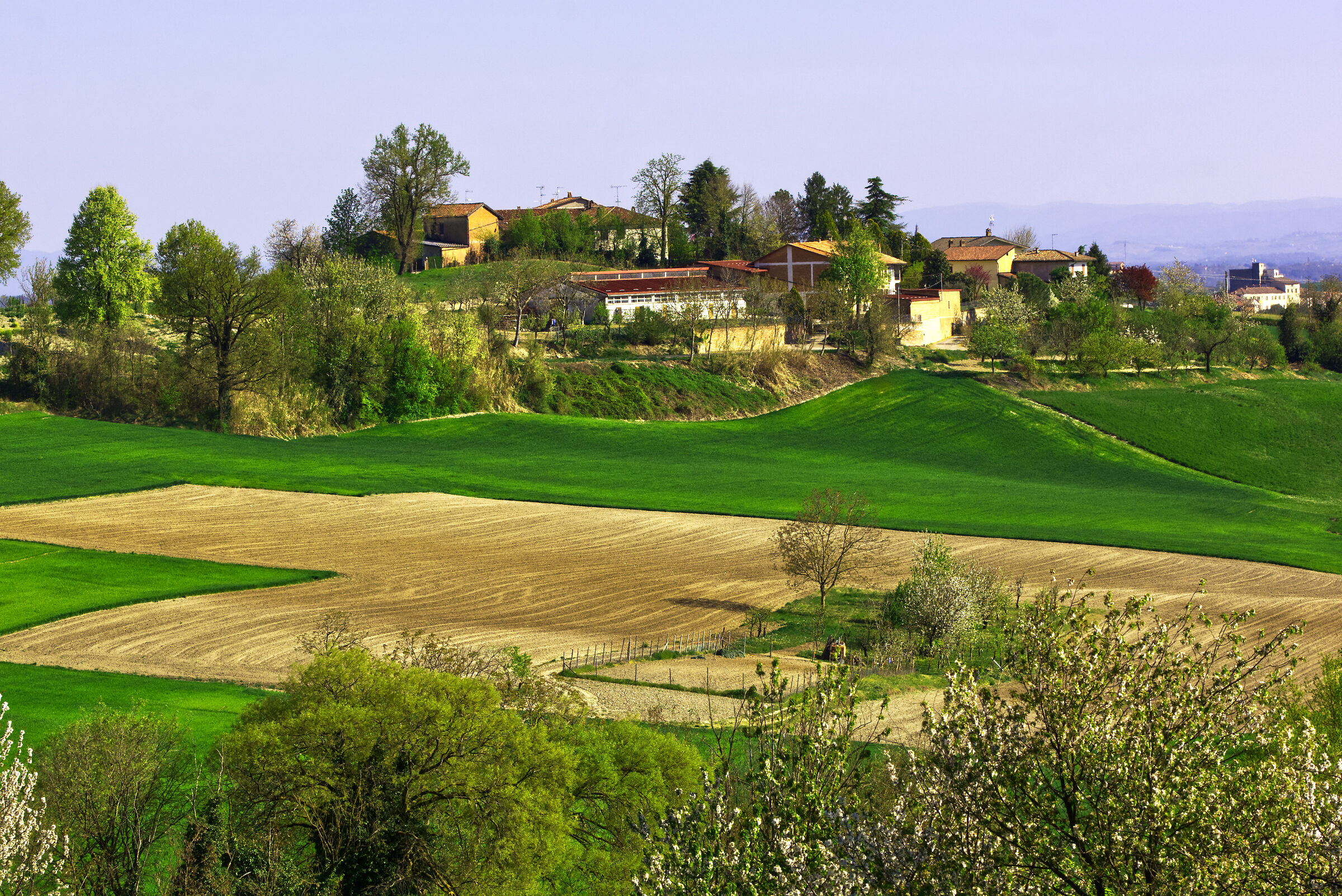 Prato del Monferrato