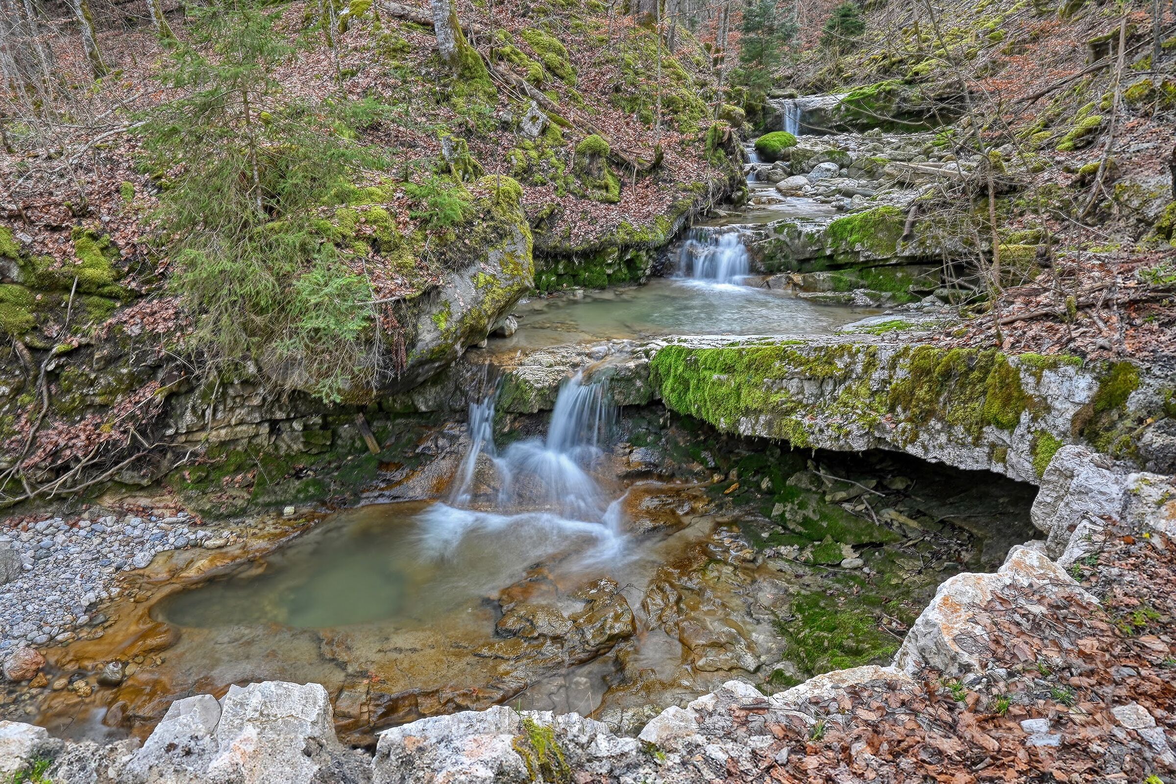 Gorges de Covatannaz, Vaud, Svizzera