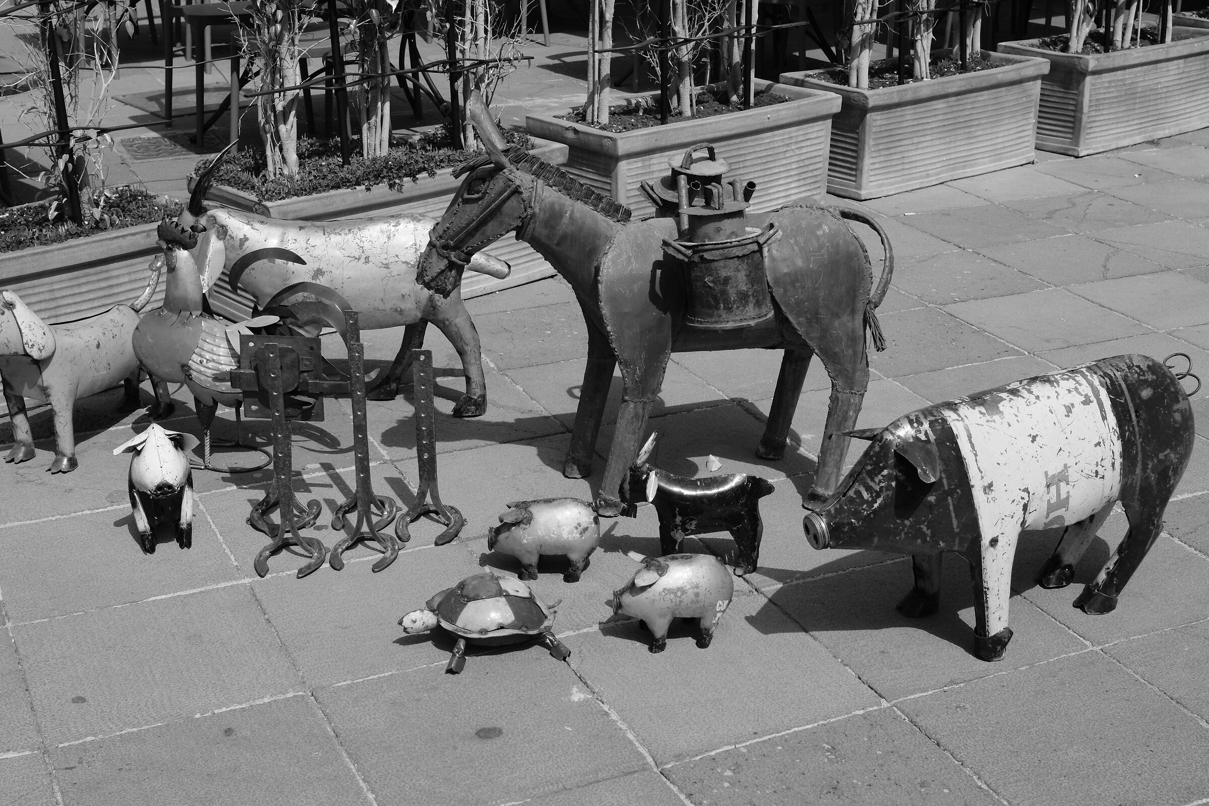 al mercato di Alghero